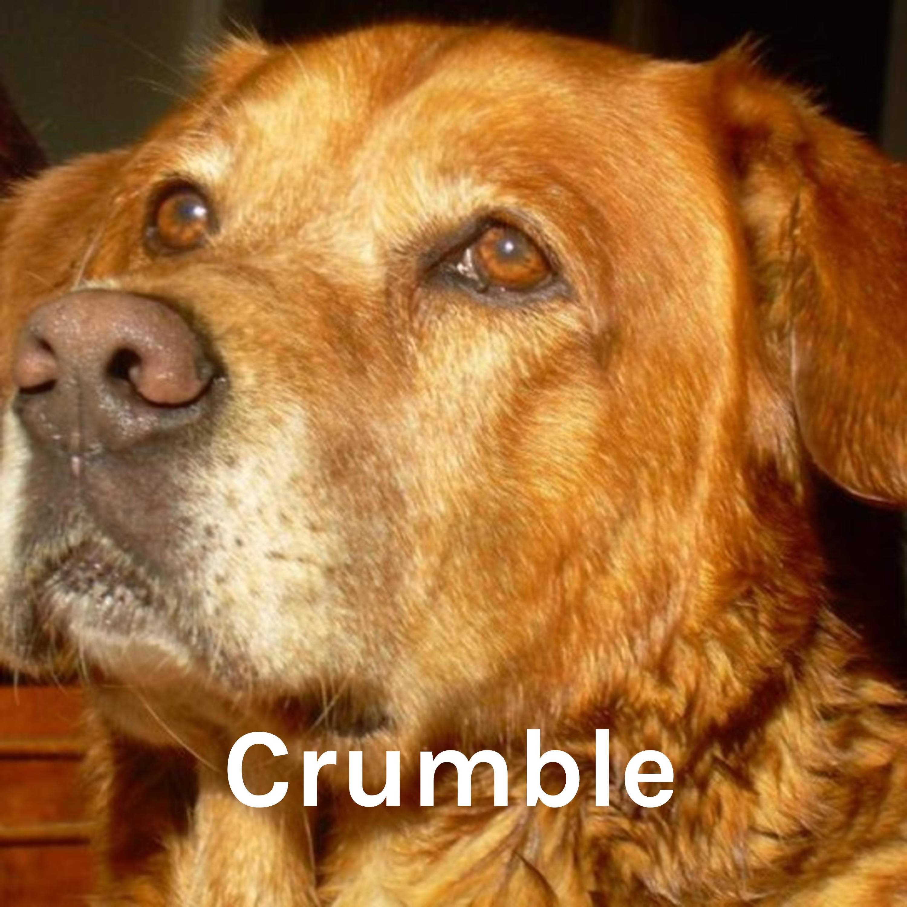 Crumble: Inspired by Michael Moore cover art