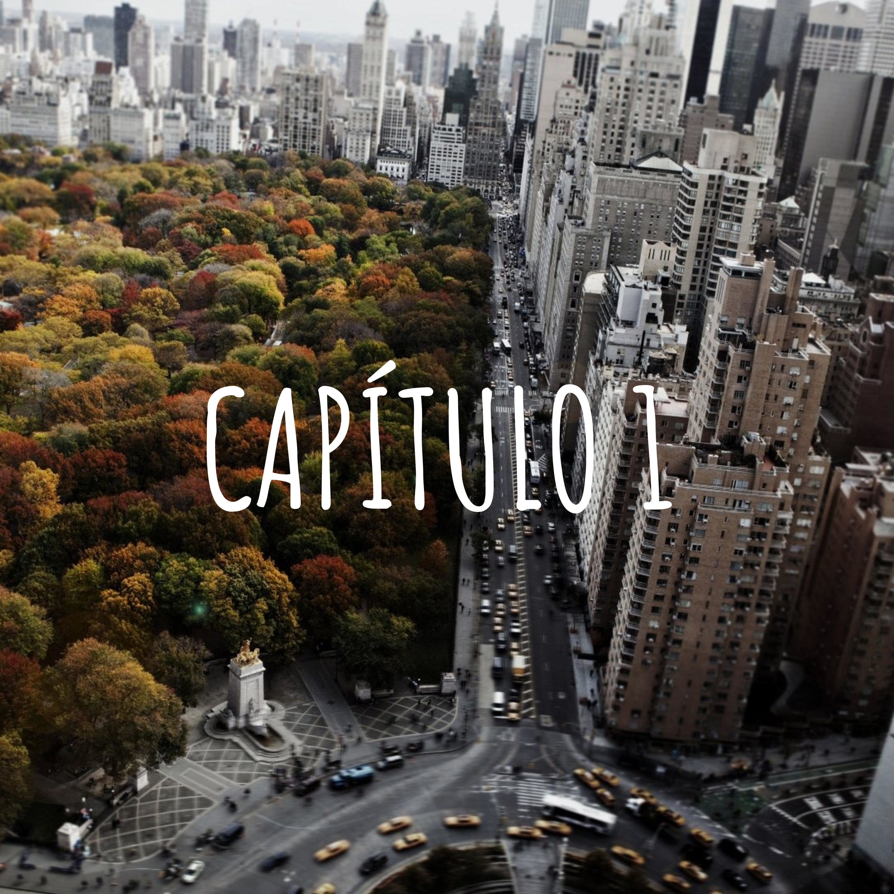 CAPÍTULO 1