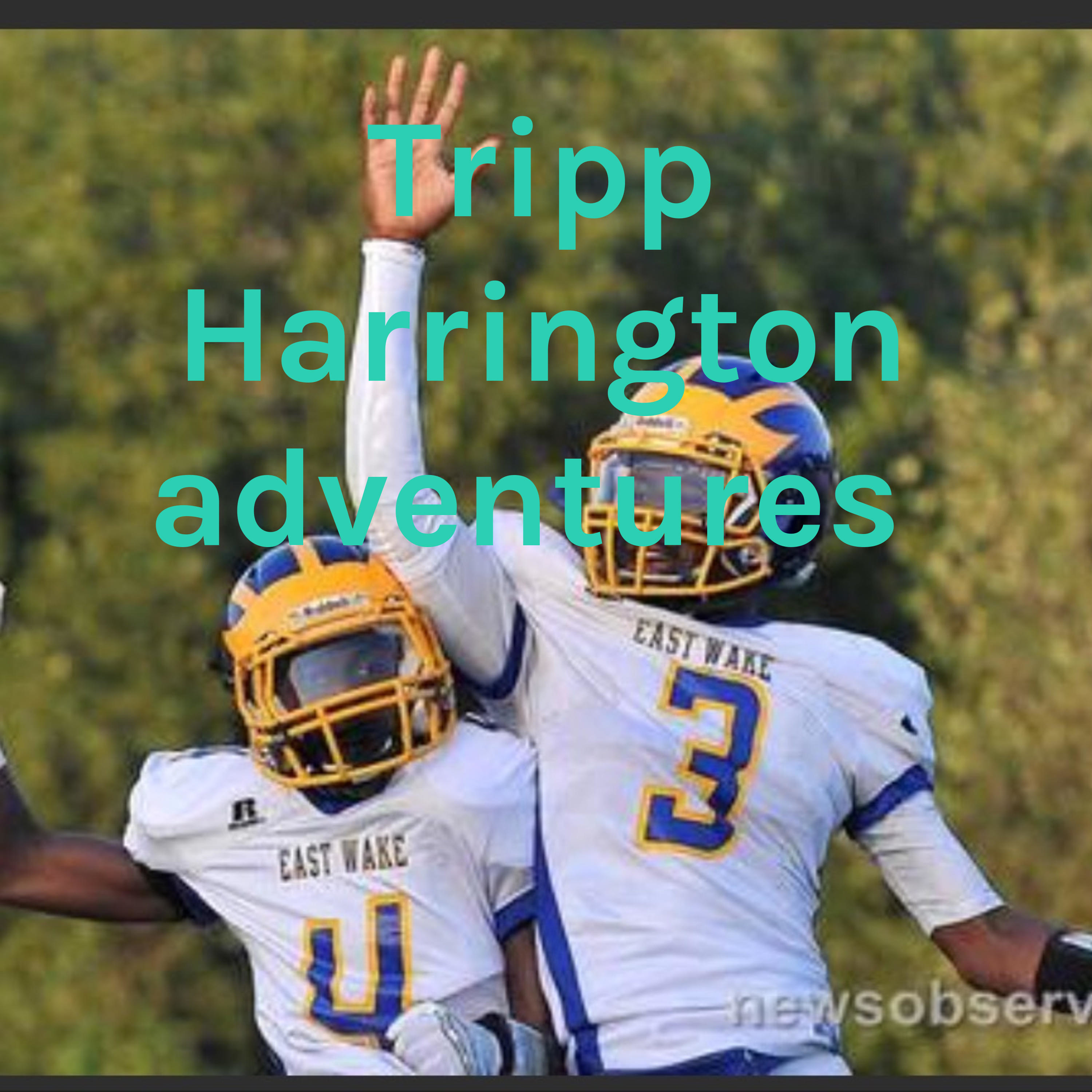 Tripp Harrington adventures cover art
