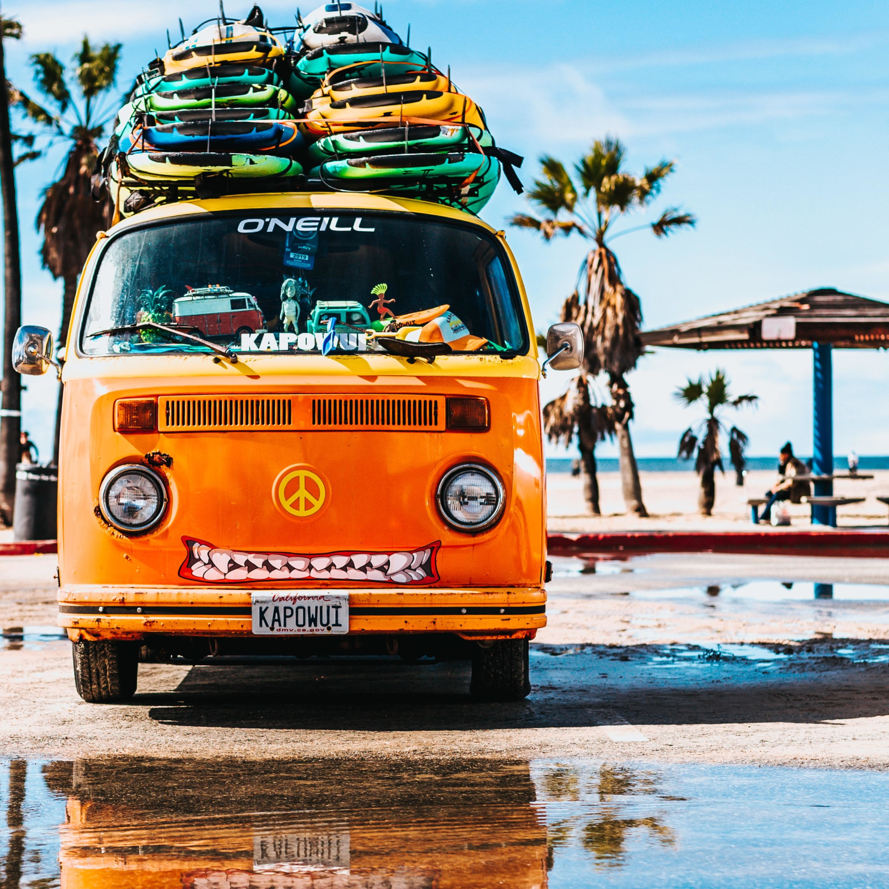 Itinerantings: wandering and wondering cover art