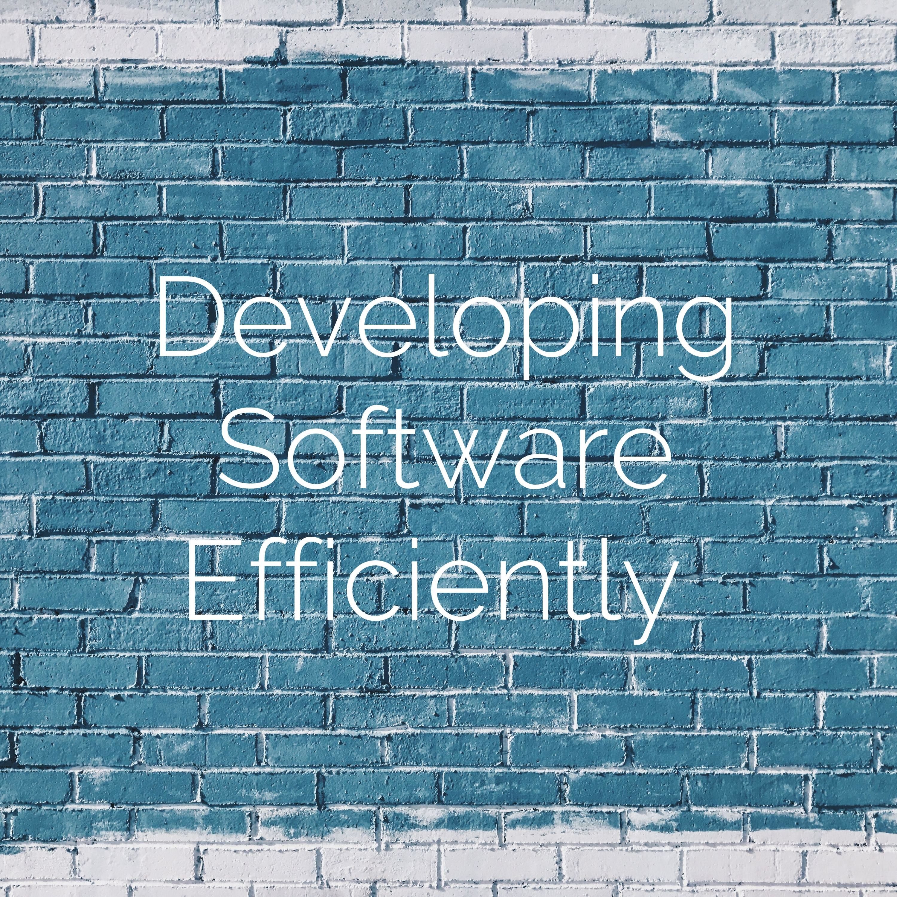 Develop Software Efficiently cover art
