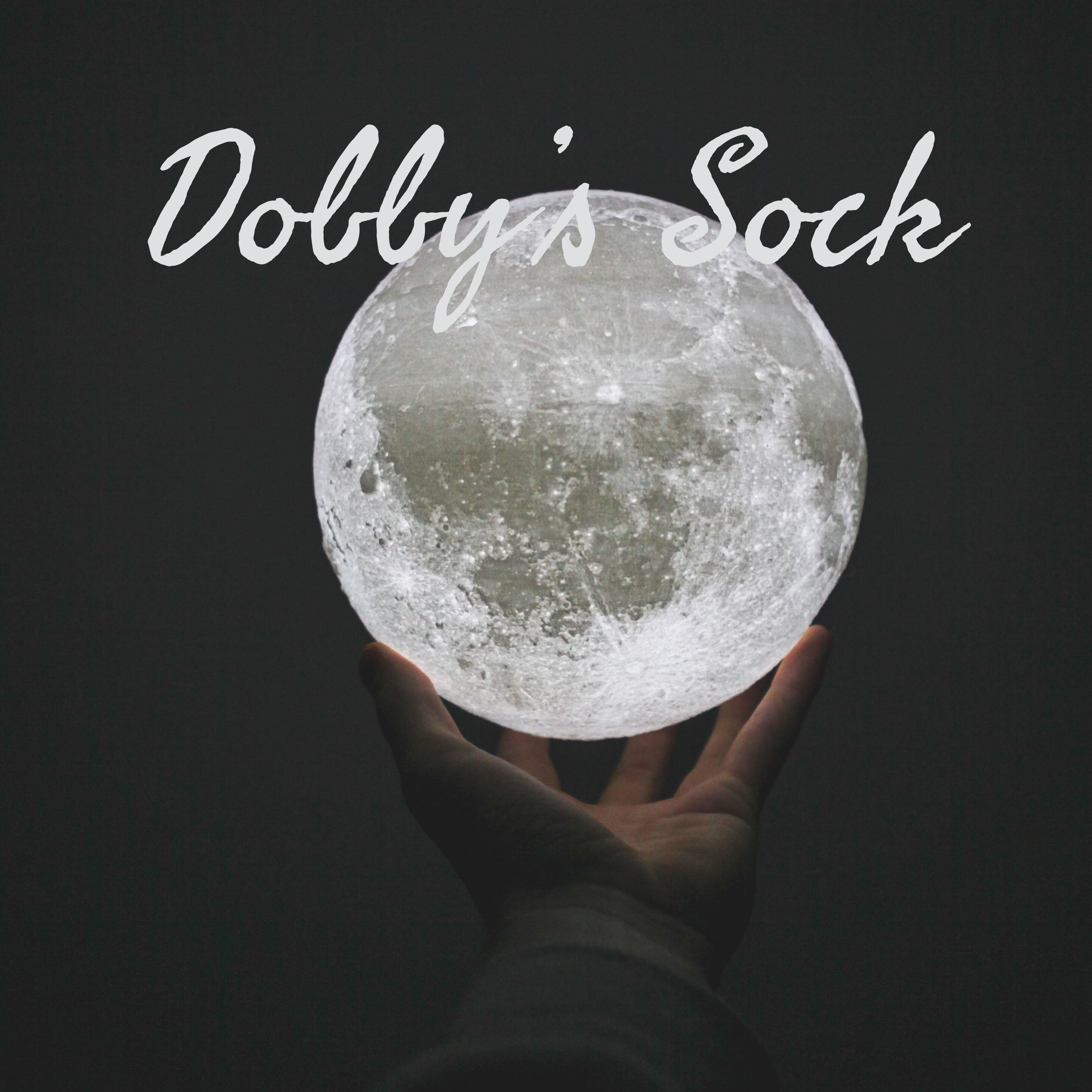 Dobby's Sock cover art