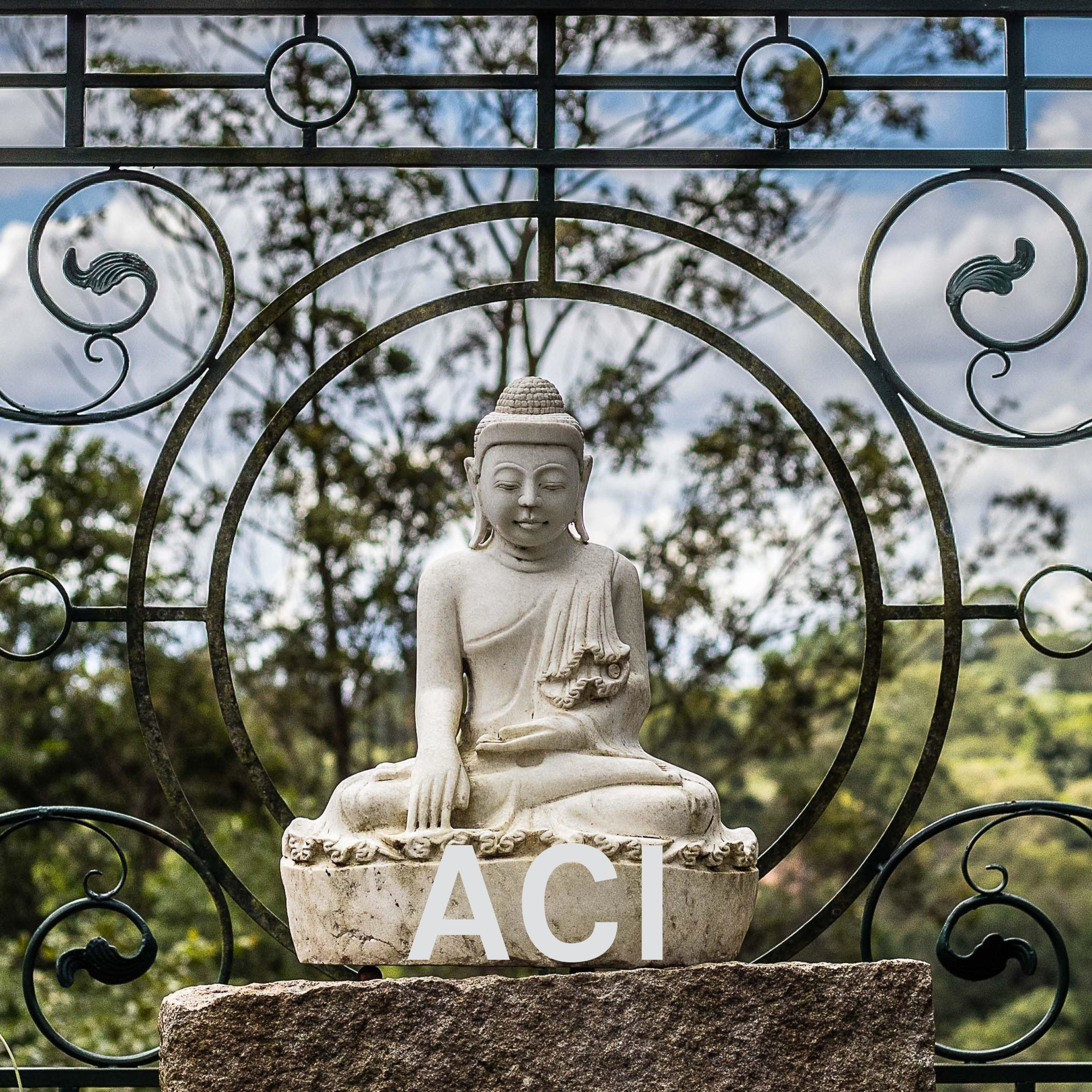 Cursos ACI - Español
