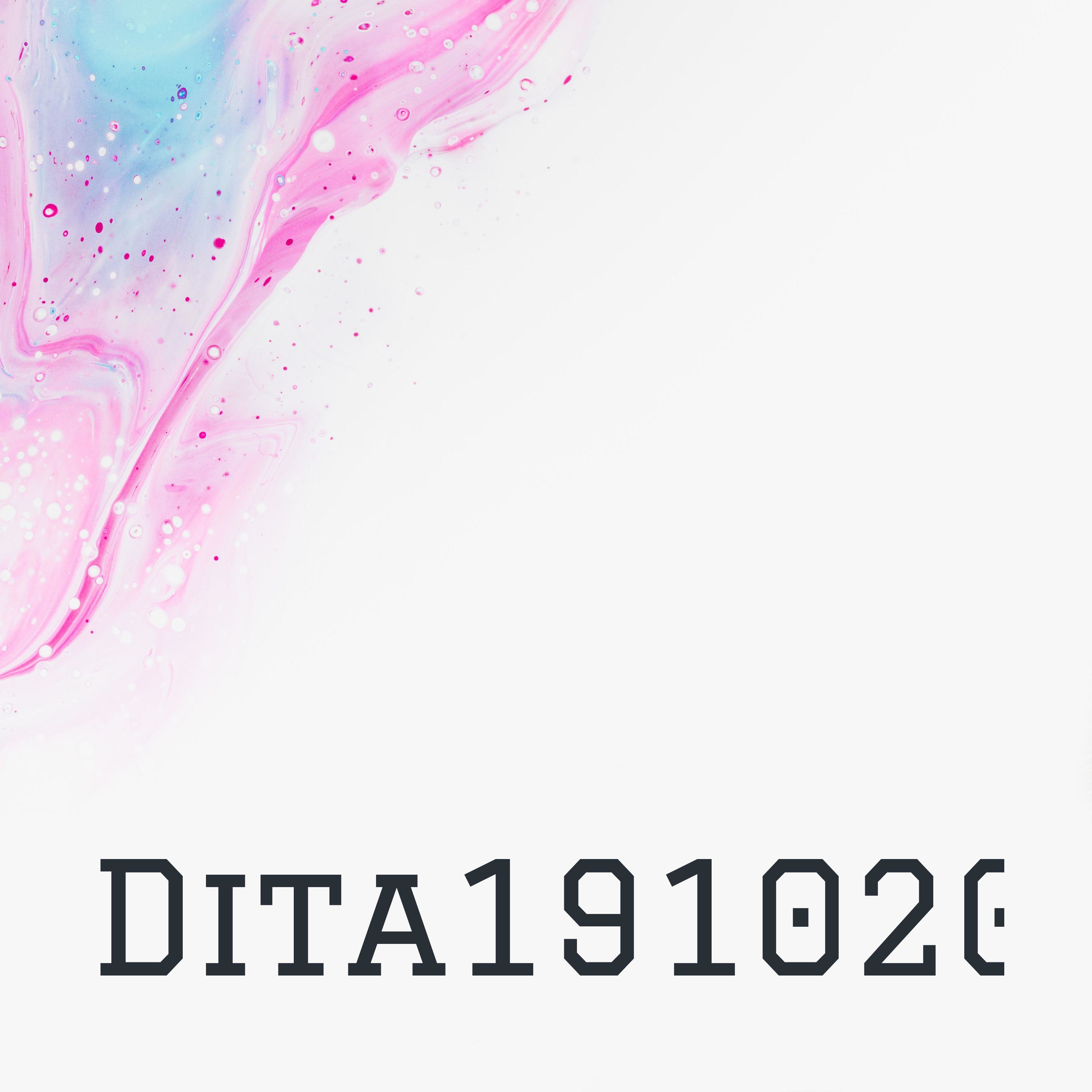 RizkyDita1910202002 cover art