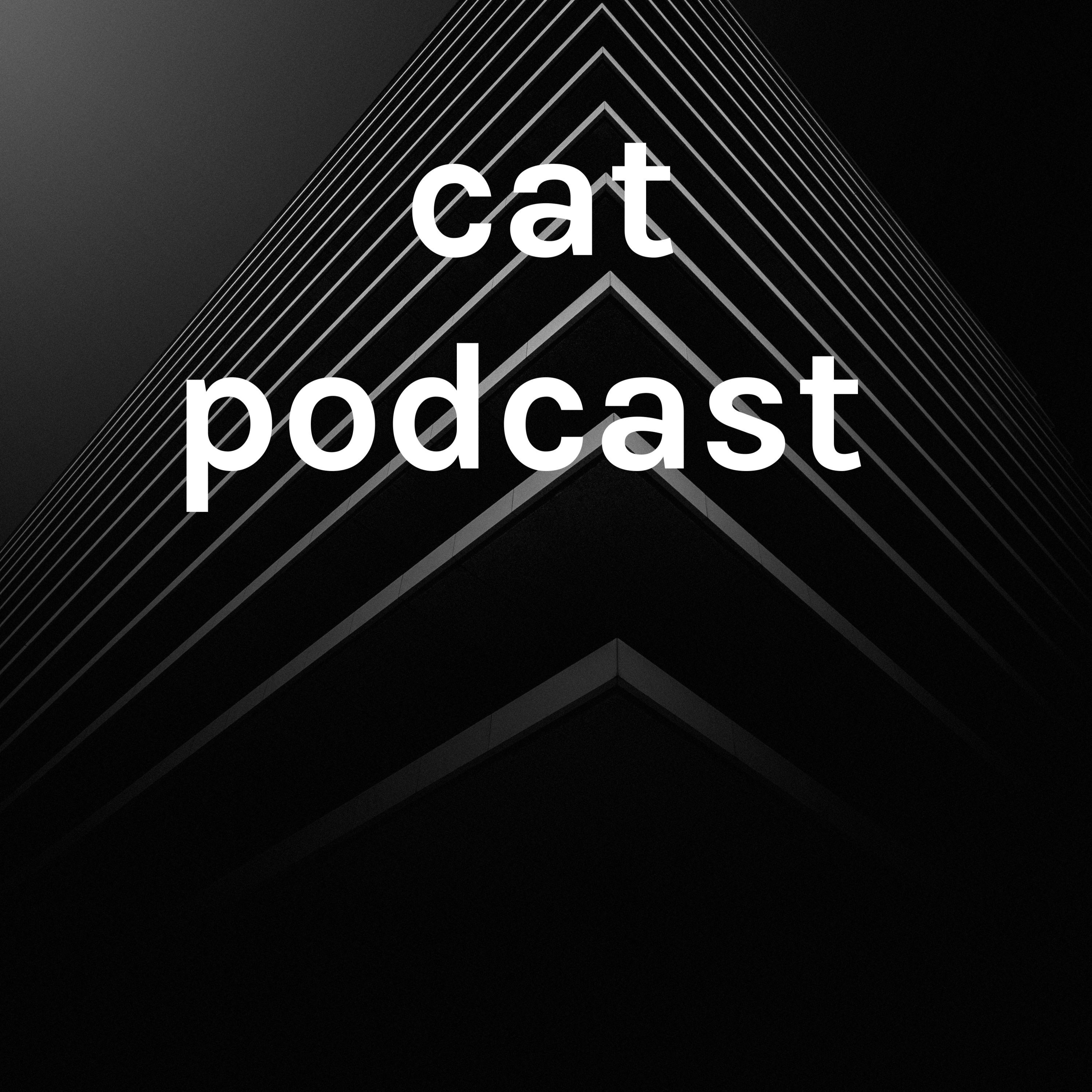 cat podcast