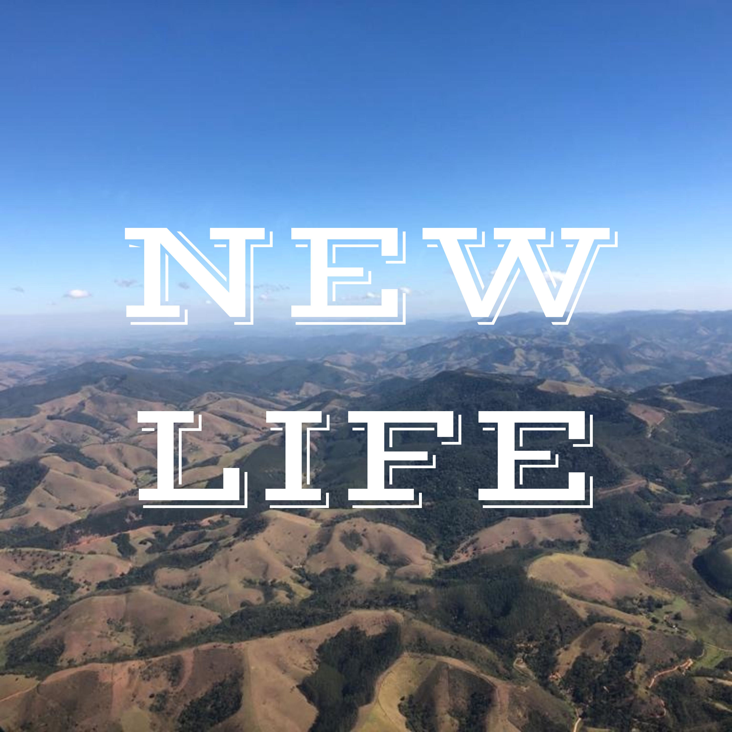 NEW LIFE 