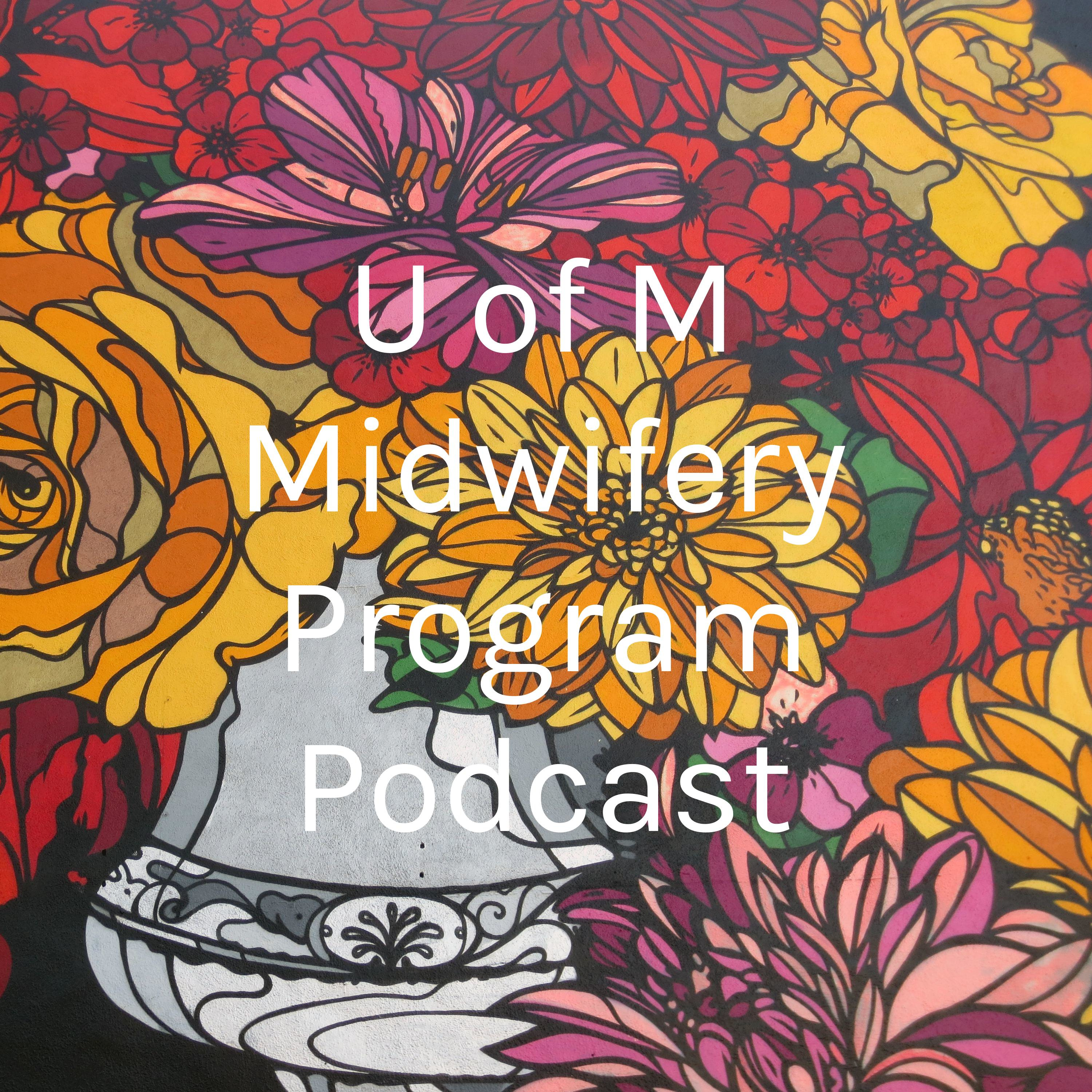 U of M Midwifery Program Podcast cover art
