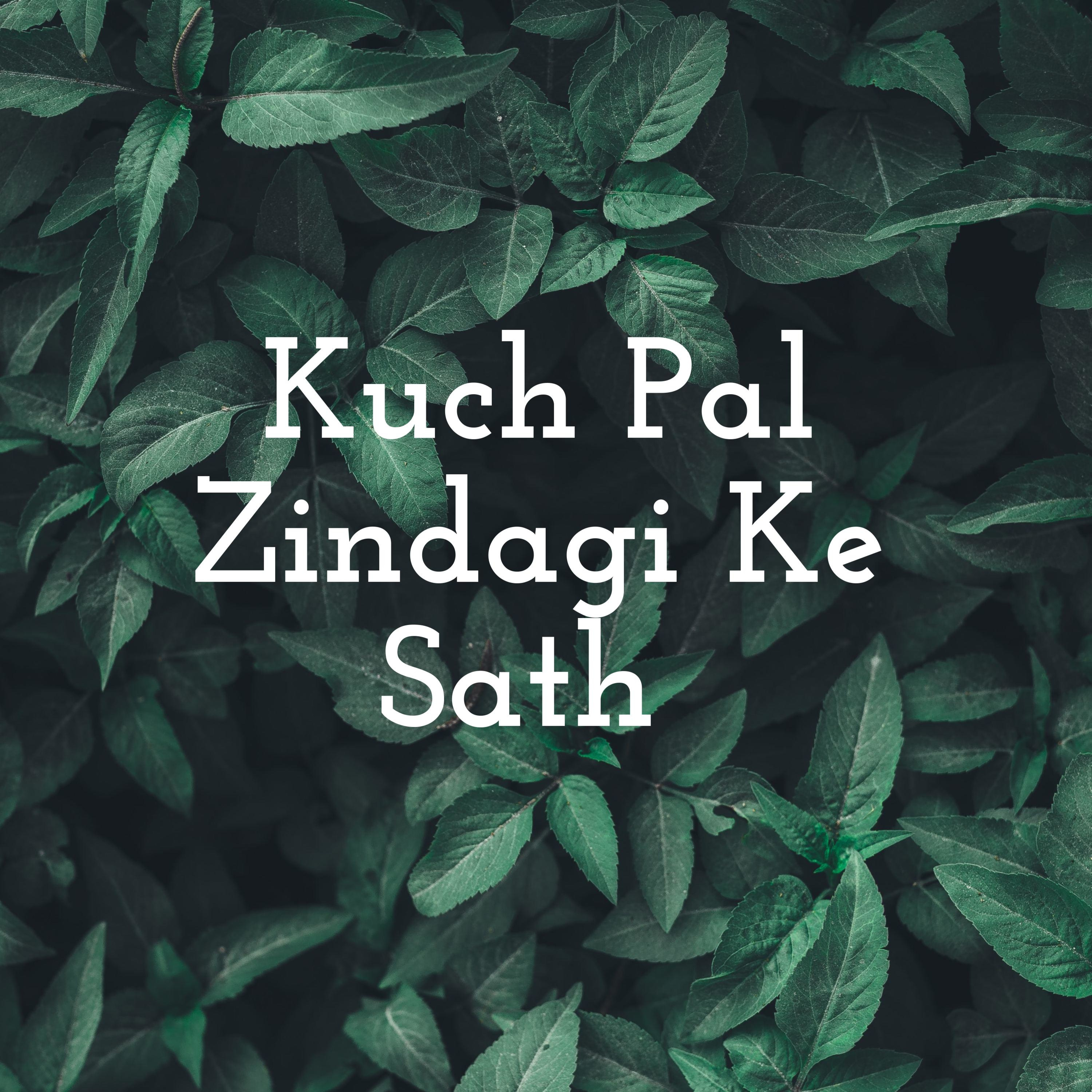 Kuch Pal Zindagi Ke Sath ❤ cover