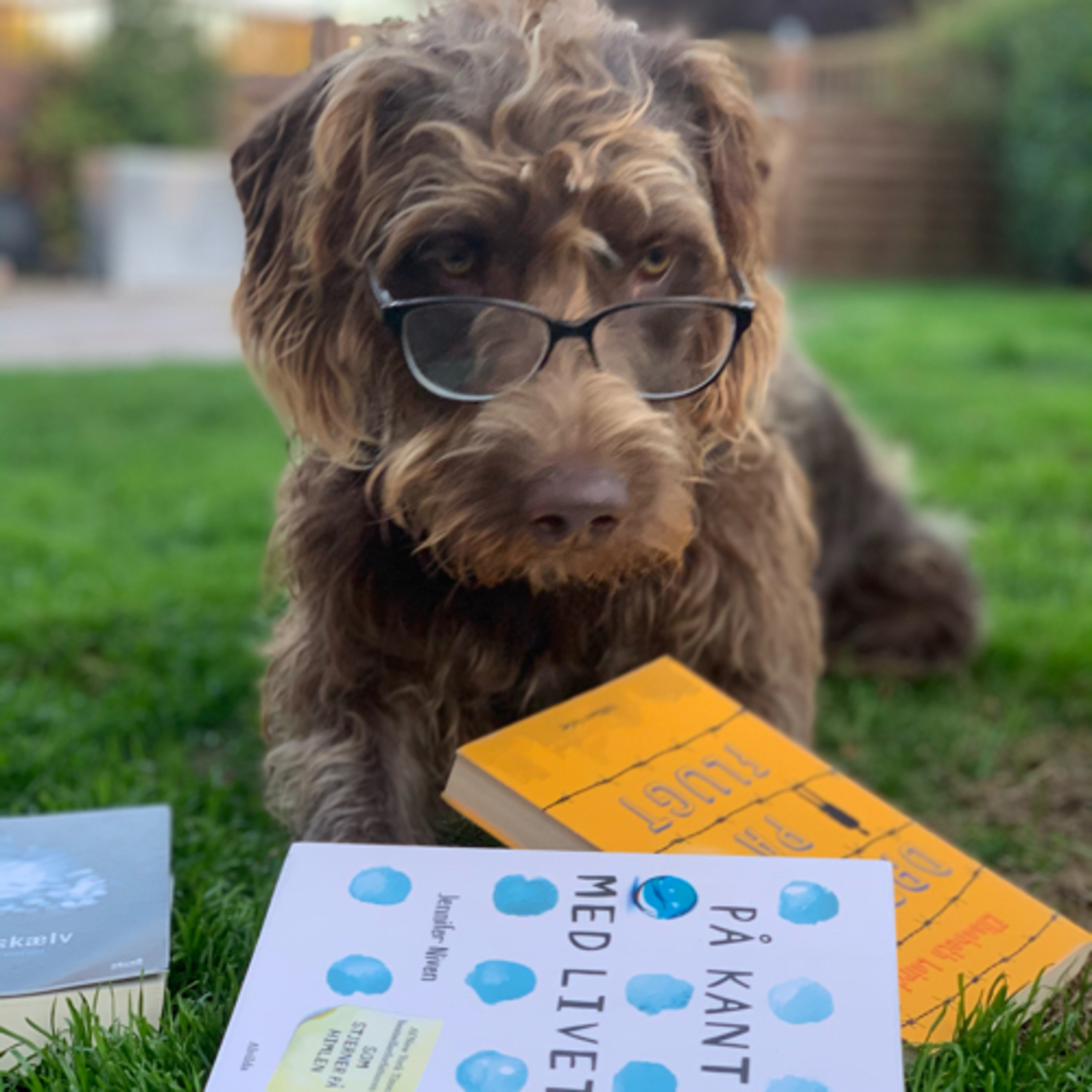 Til os elever - podcast af Sif Greve Fredskov