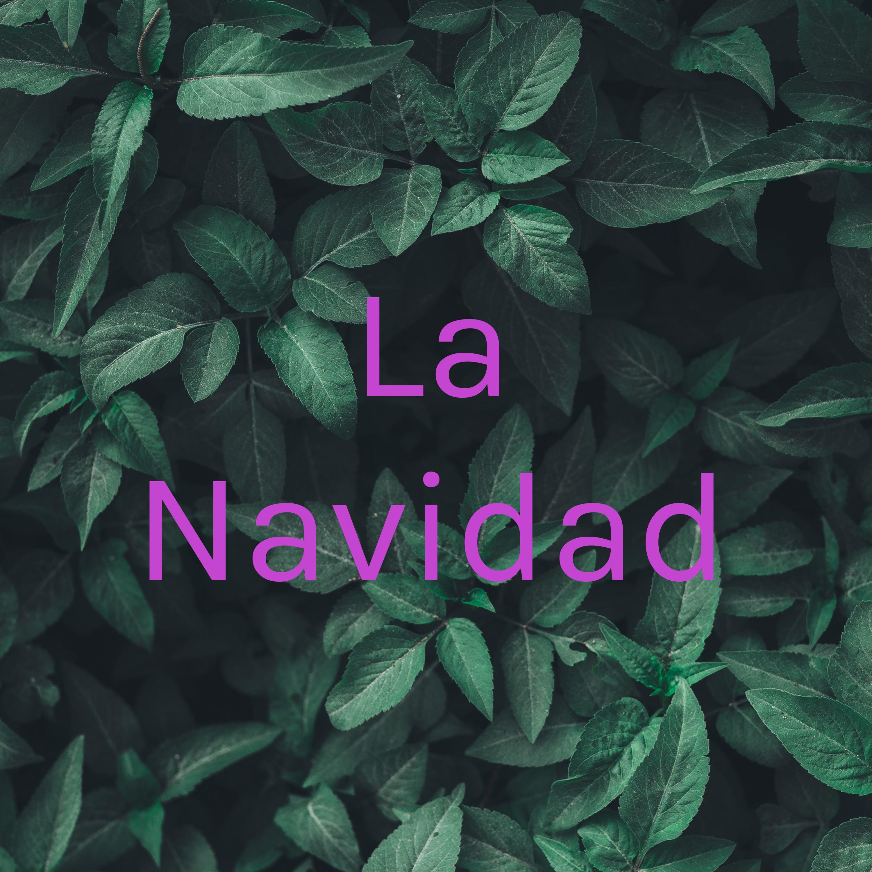 La Navidad