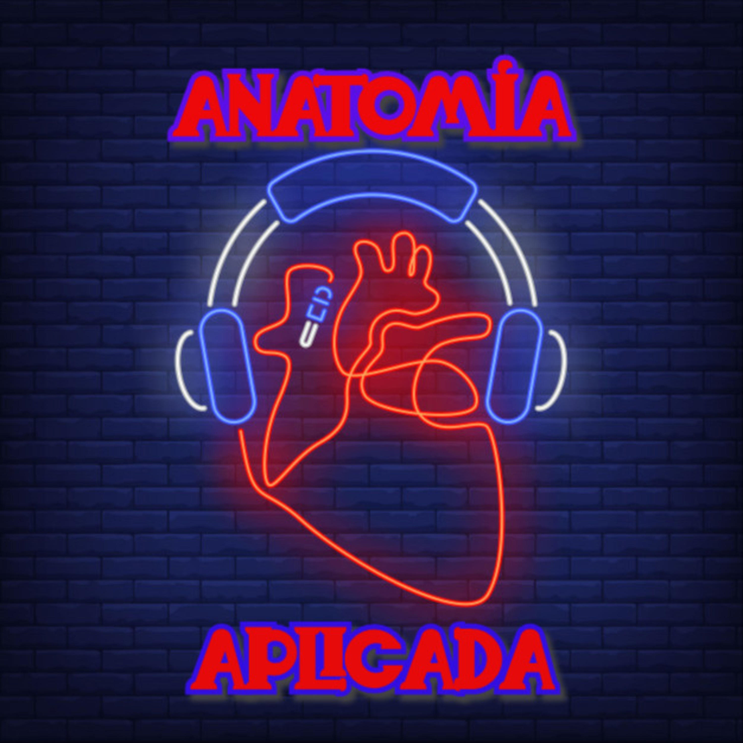 Anatomía Aplicada