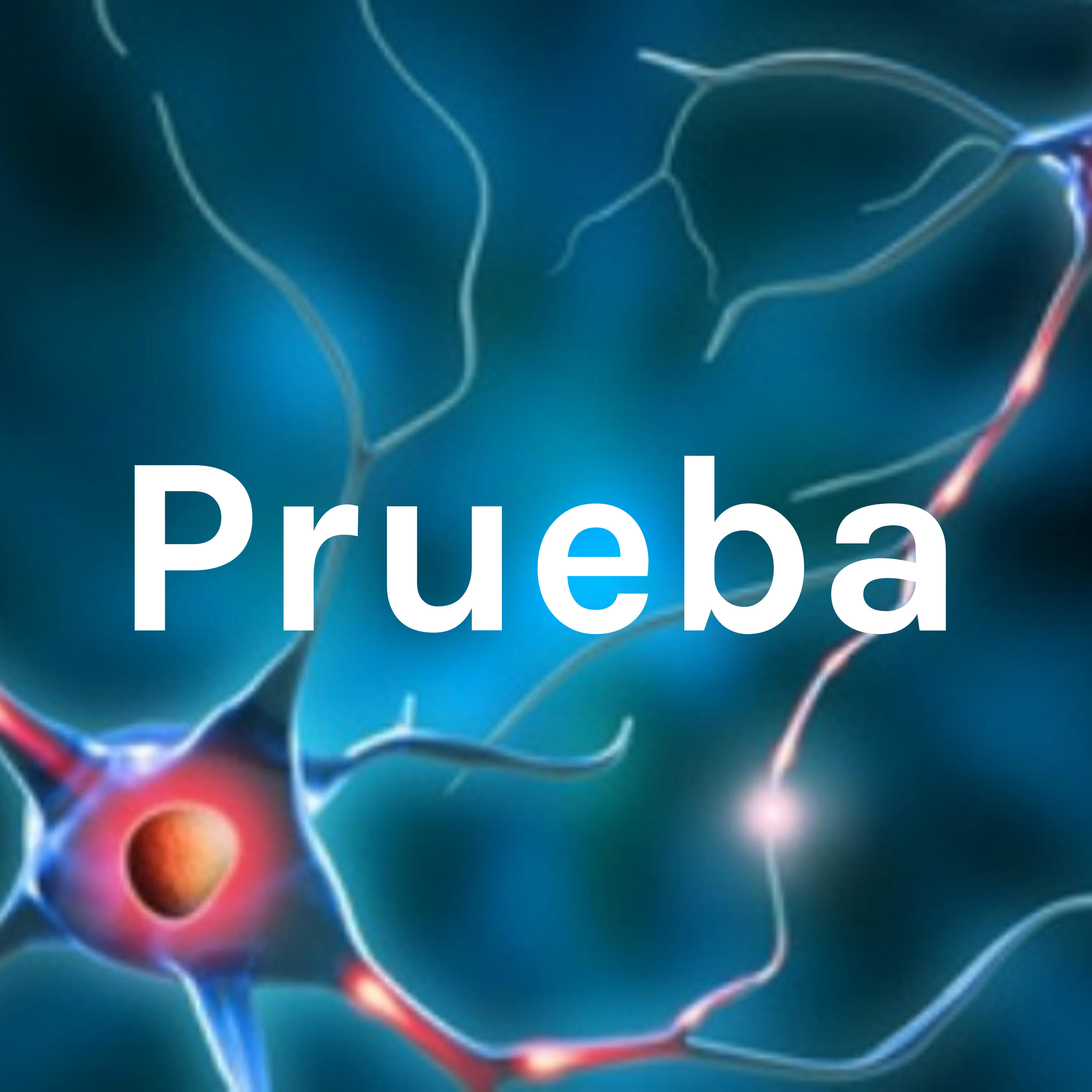 Teóricas sobre la división del cerebro