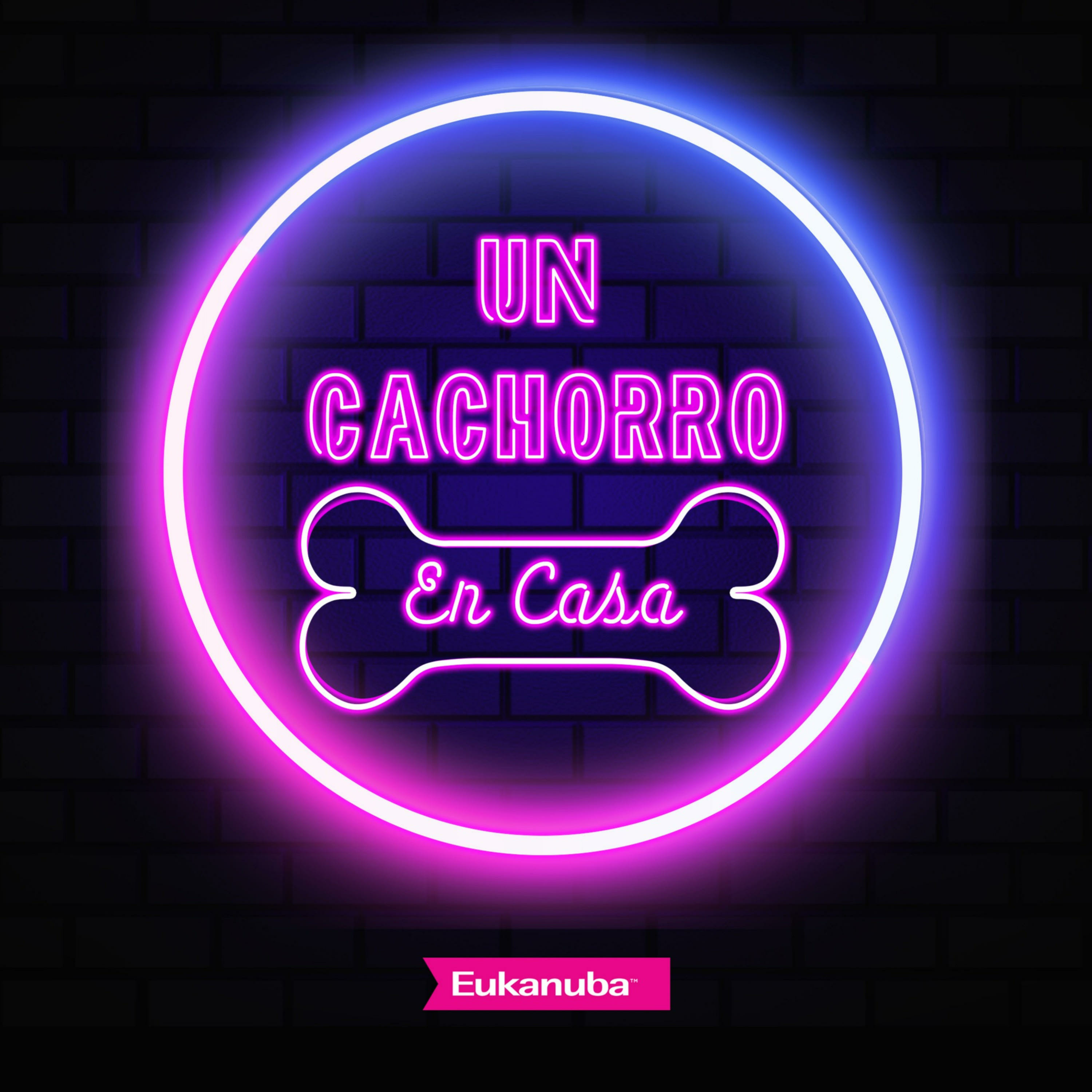 Preparando la casa para recibir un cachorro episode artwork