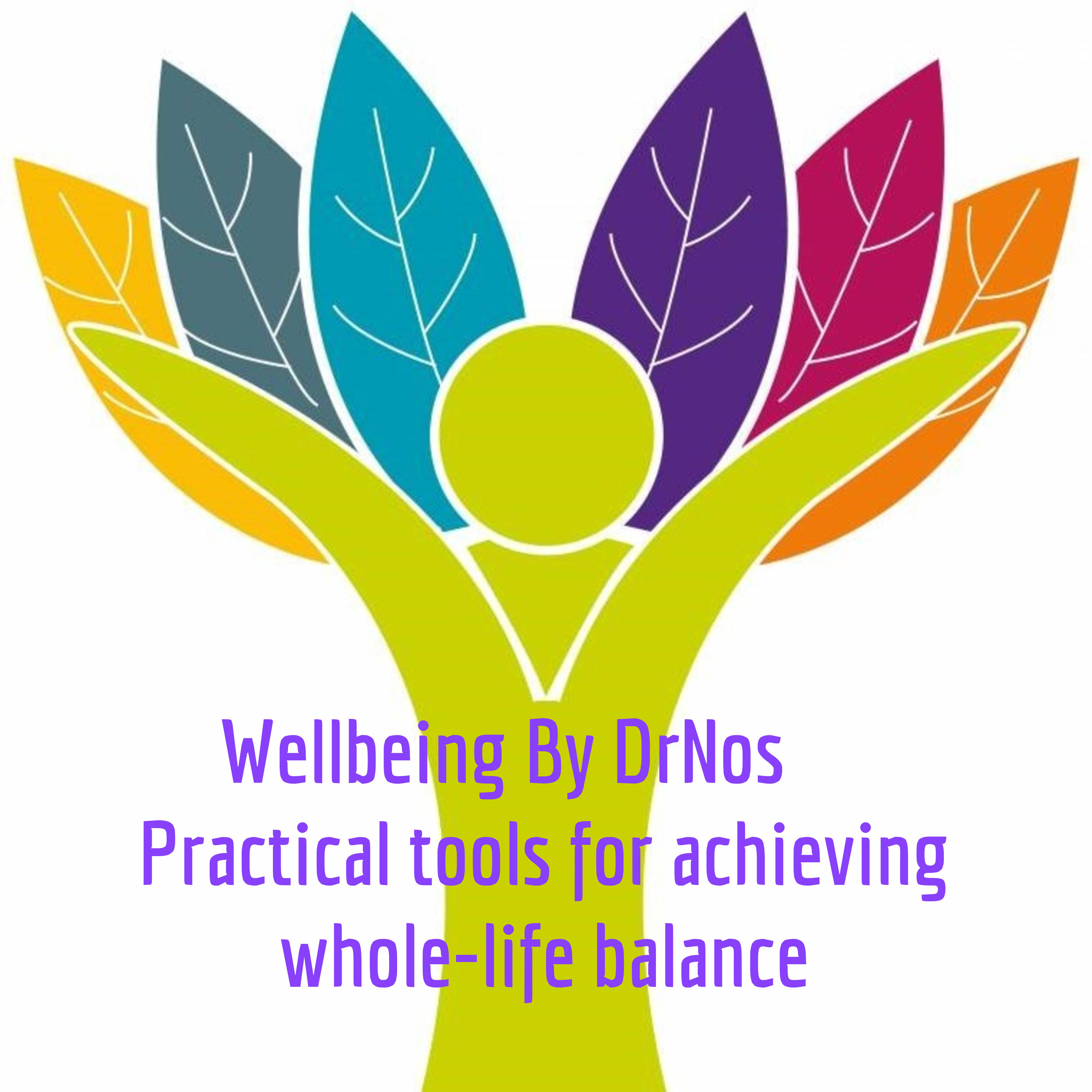  Wellbeing By DrNos Practical tools for achieving whole-life balance