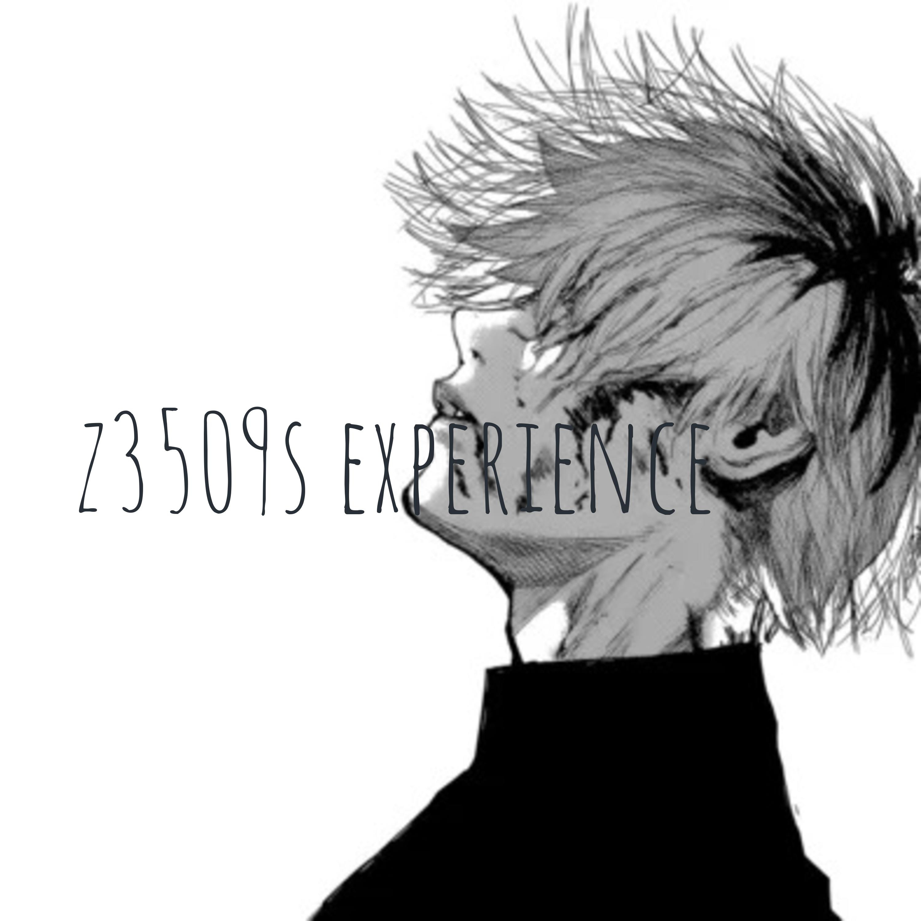 z3509s experience