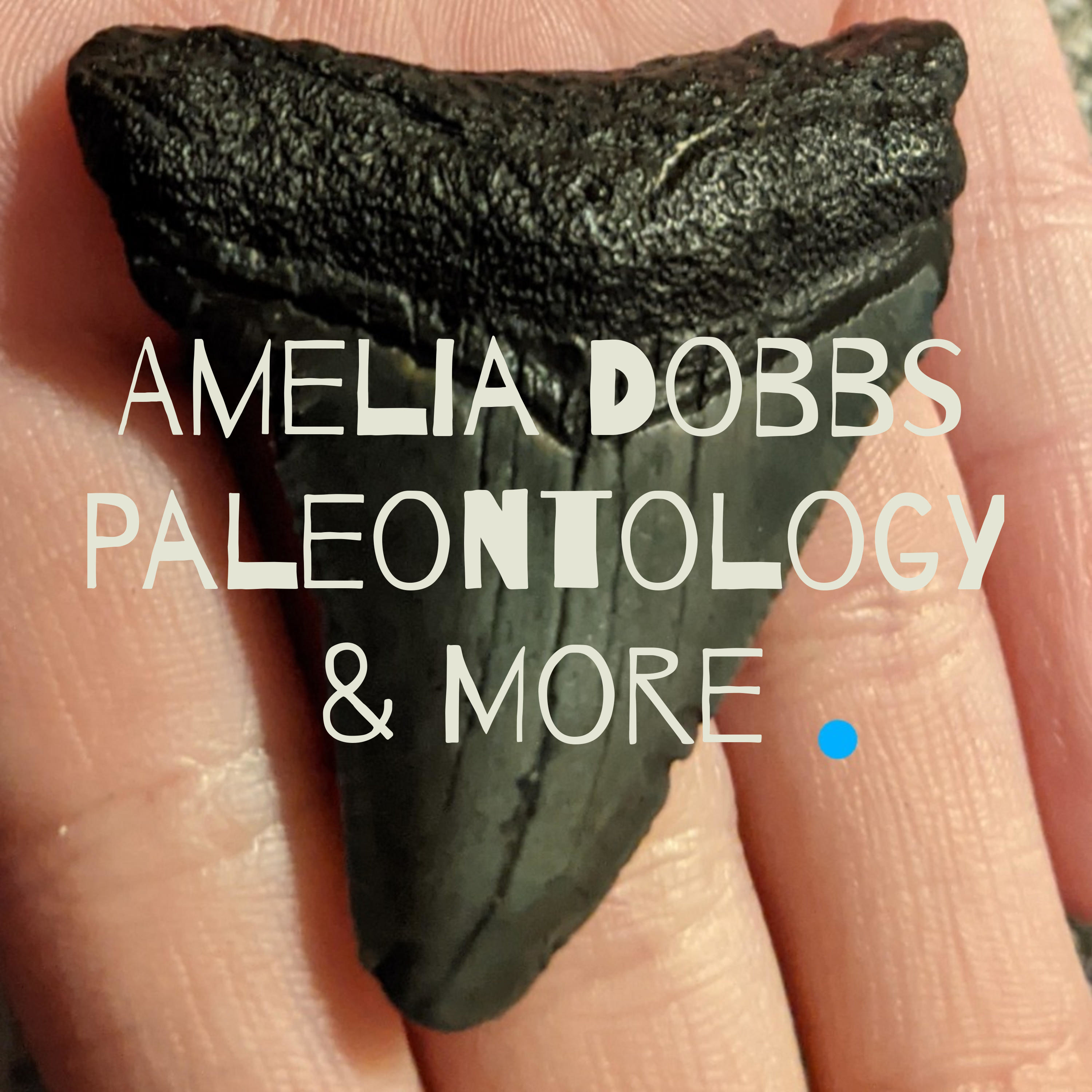 Amelia Dobbs Paleontology & More
