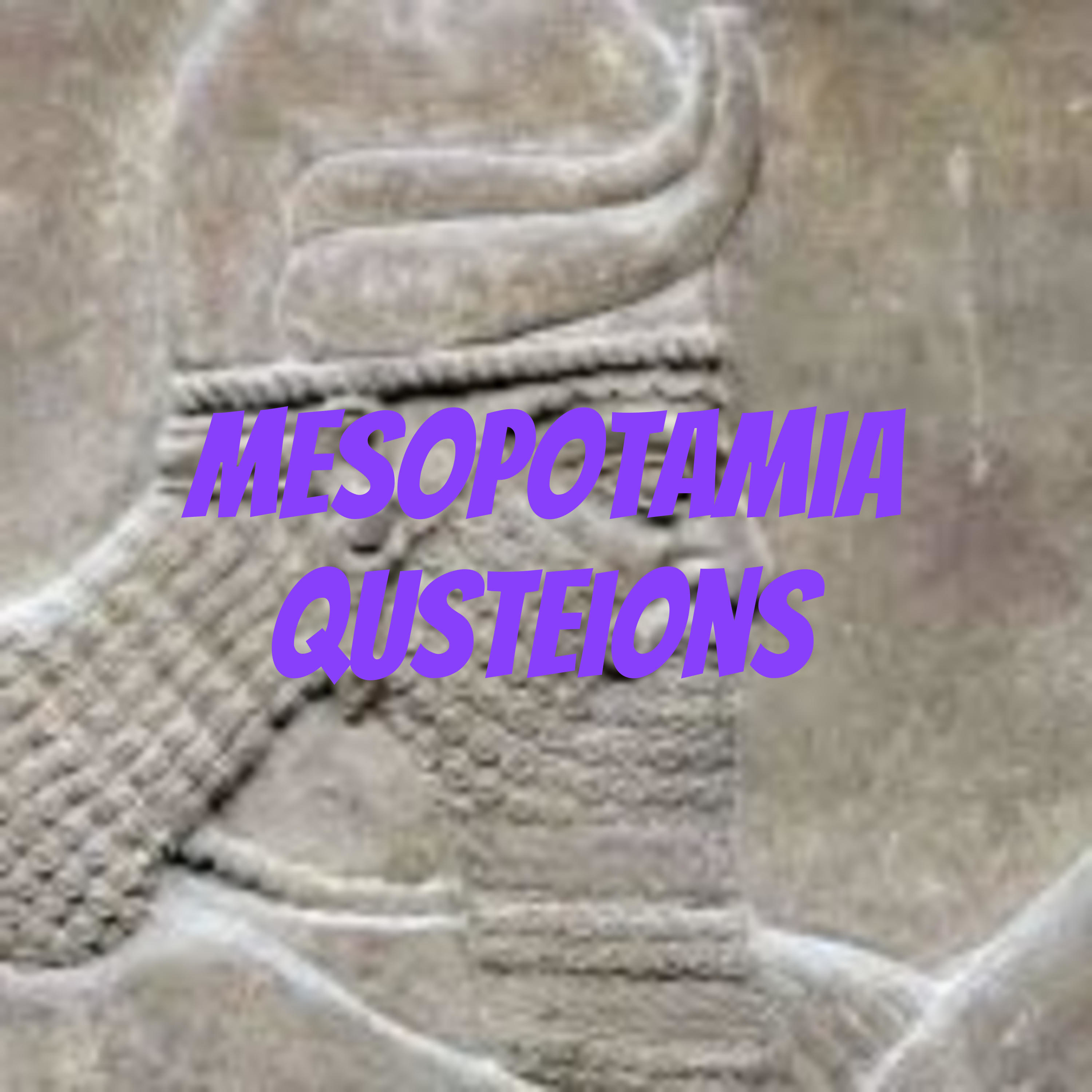  Mesopotamia qusteions