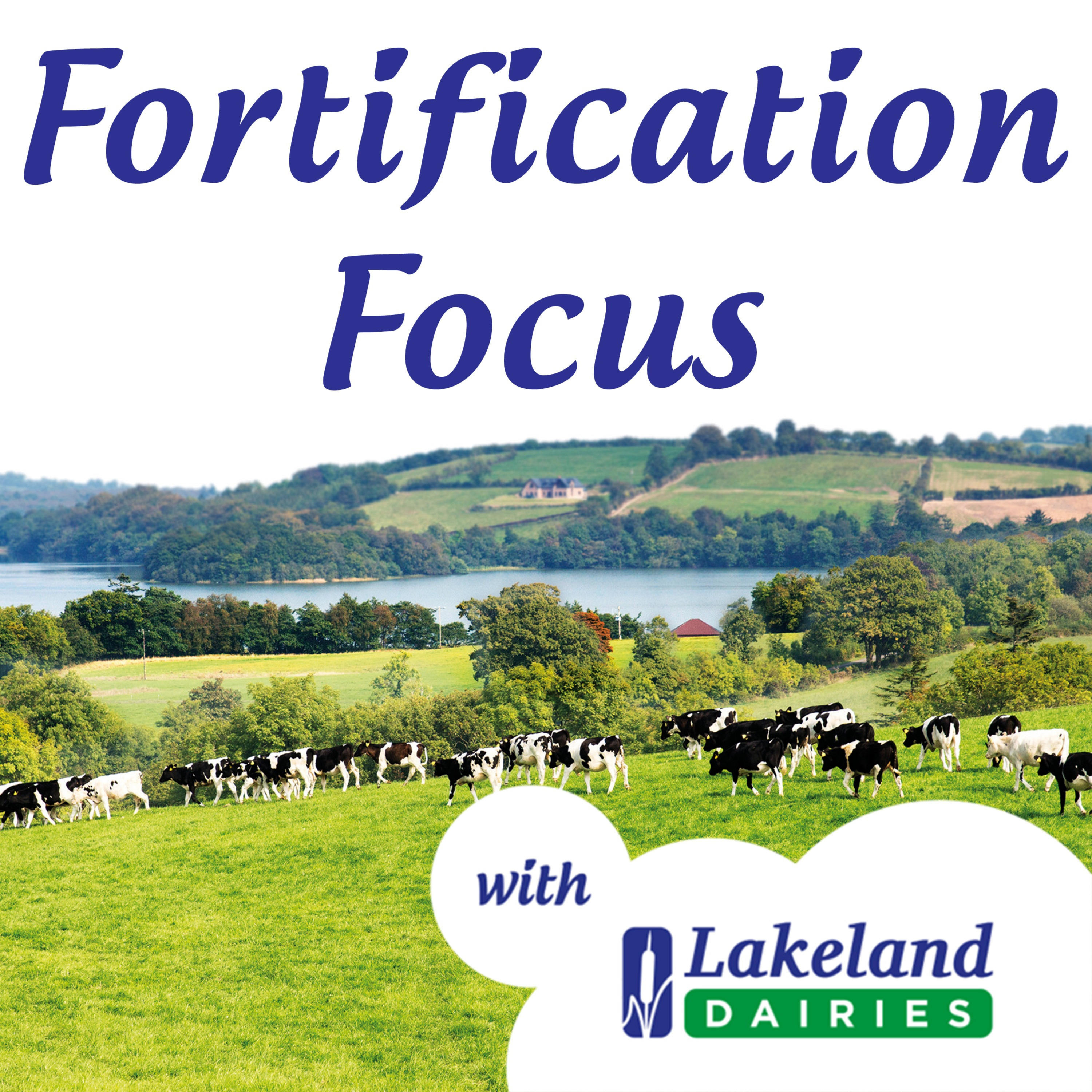 Fortification Focus