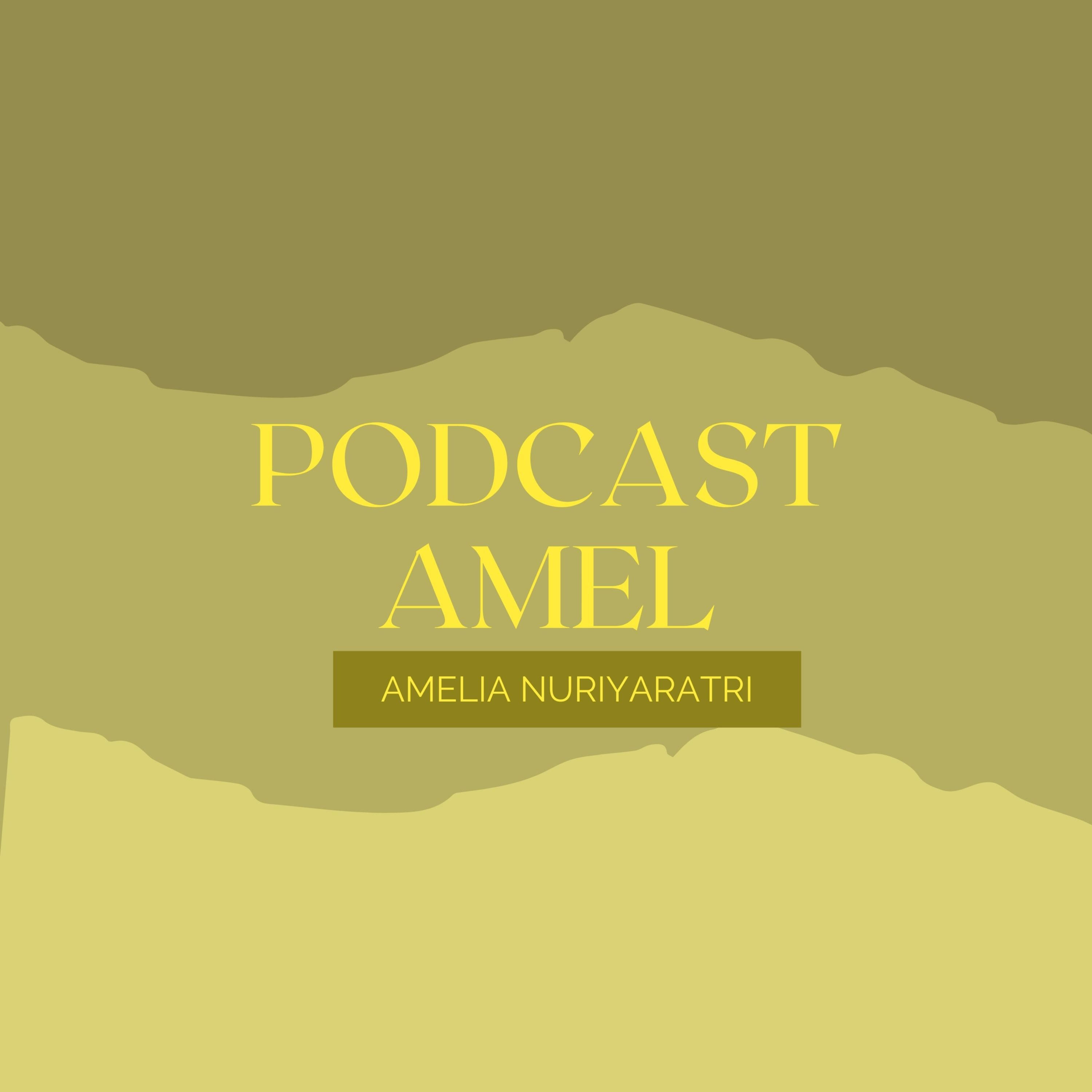 Podcast Amel cover art