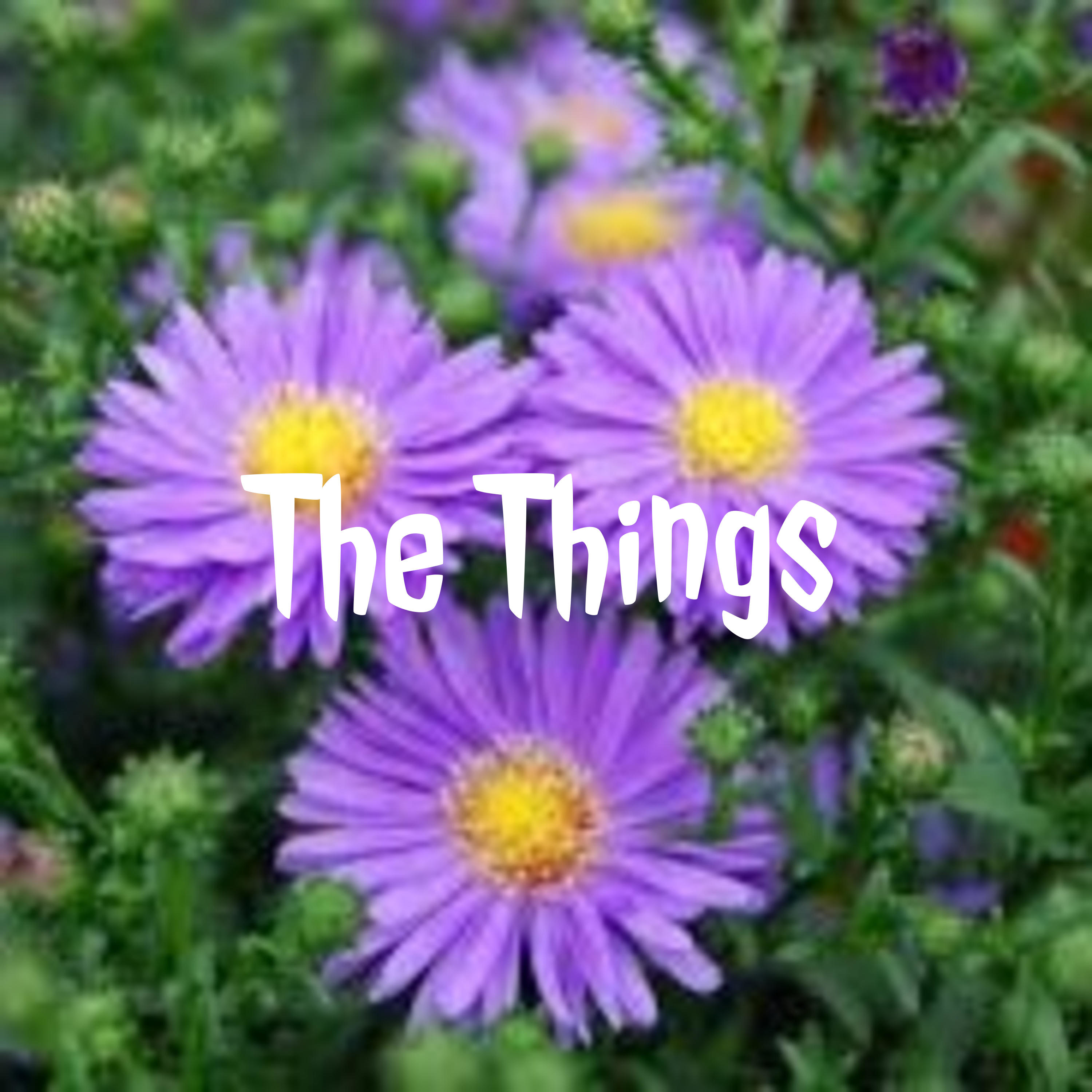 Things