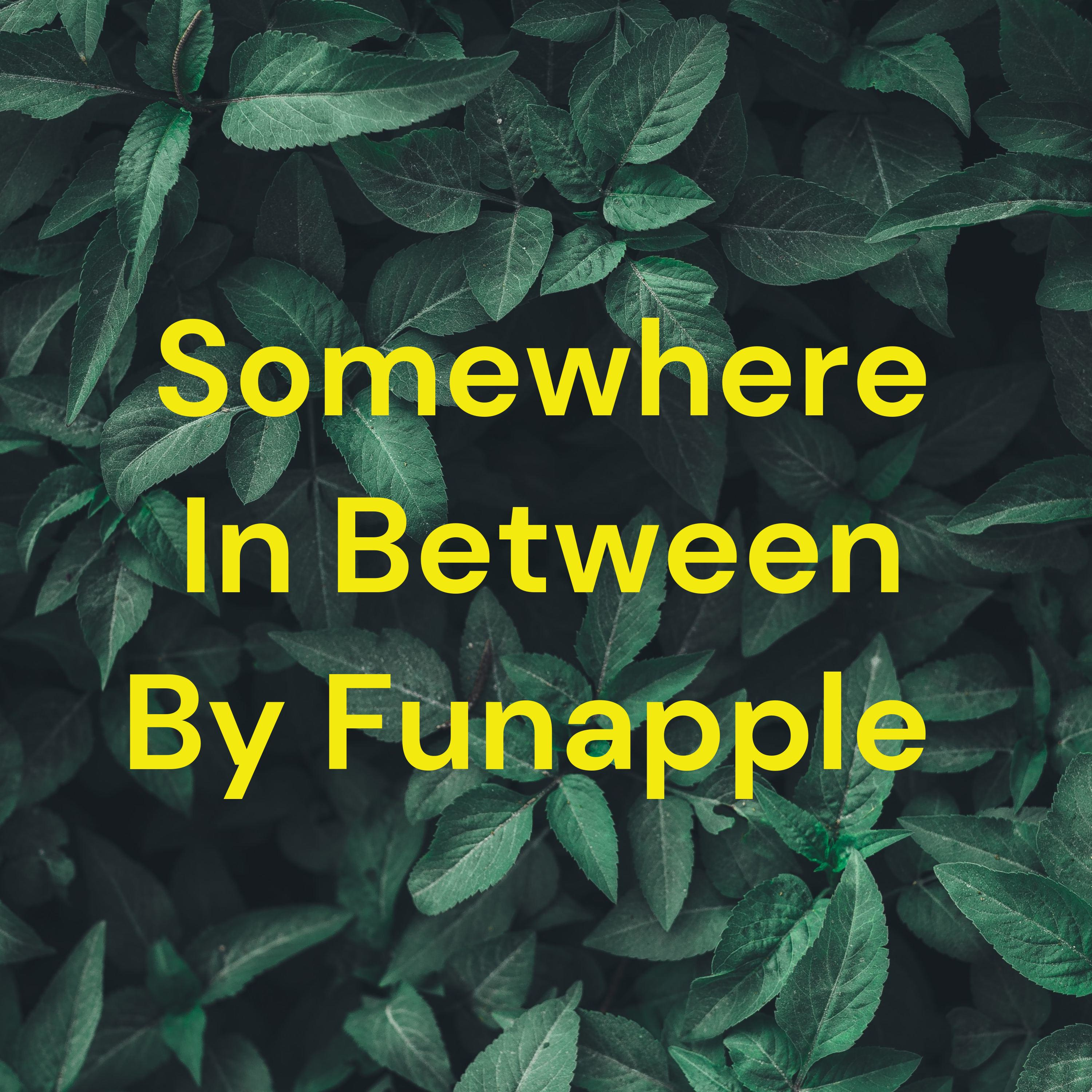Somewhere In Between By Funapple