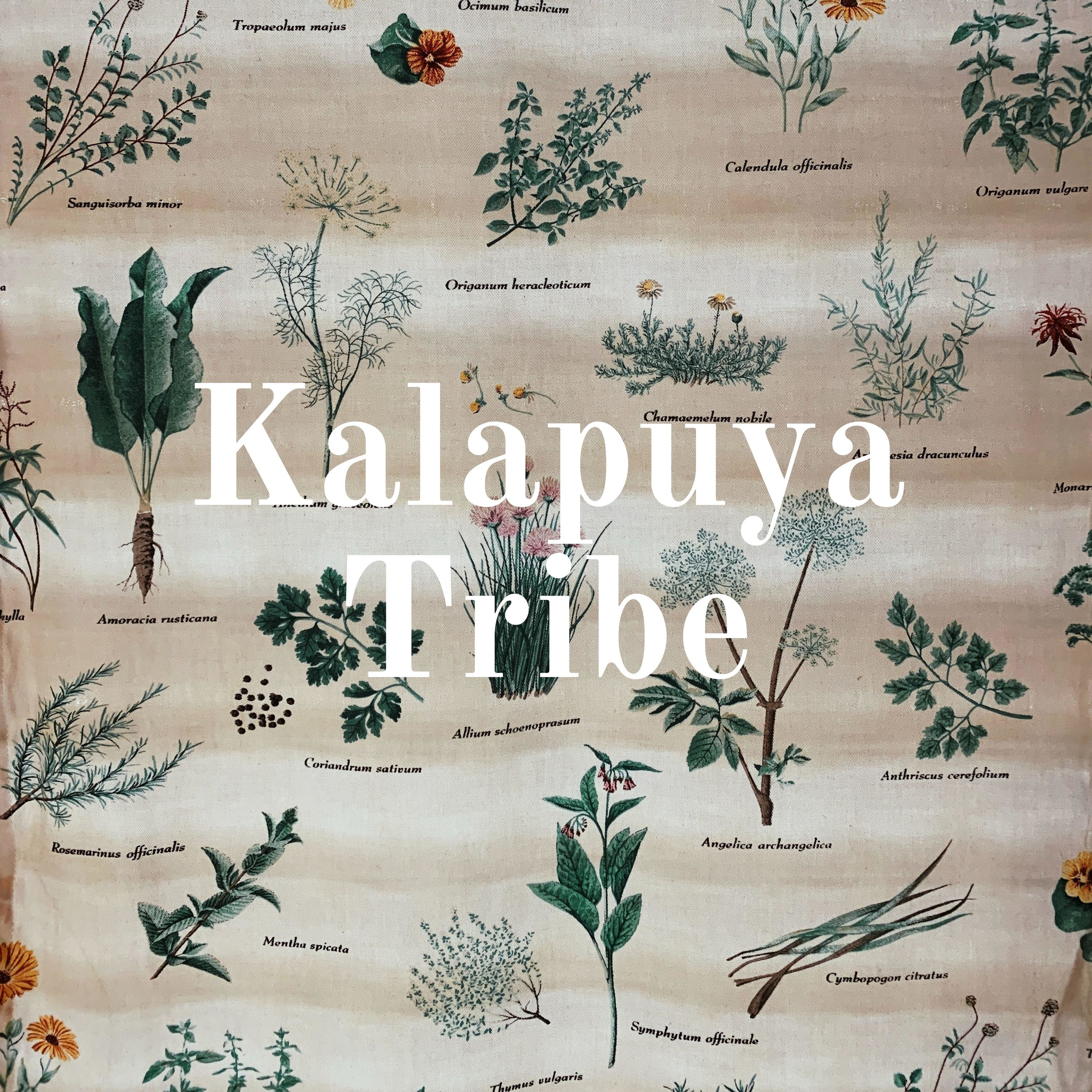 Kalapuya Tribe