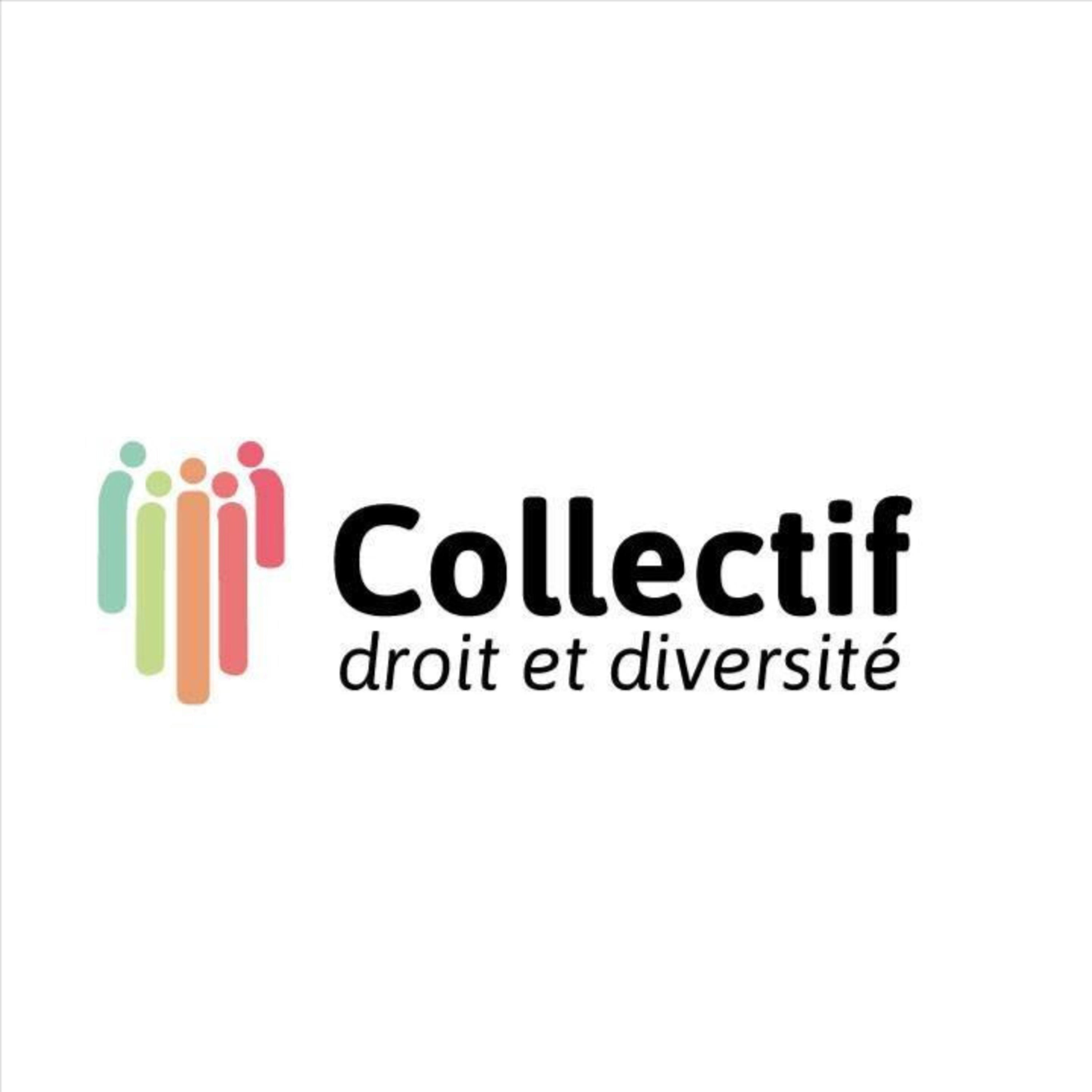 Collectif droit et diversité