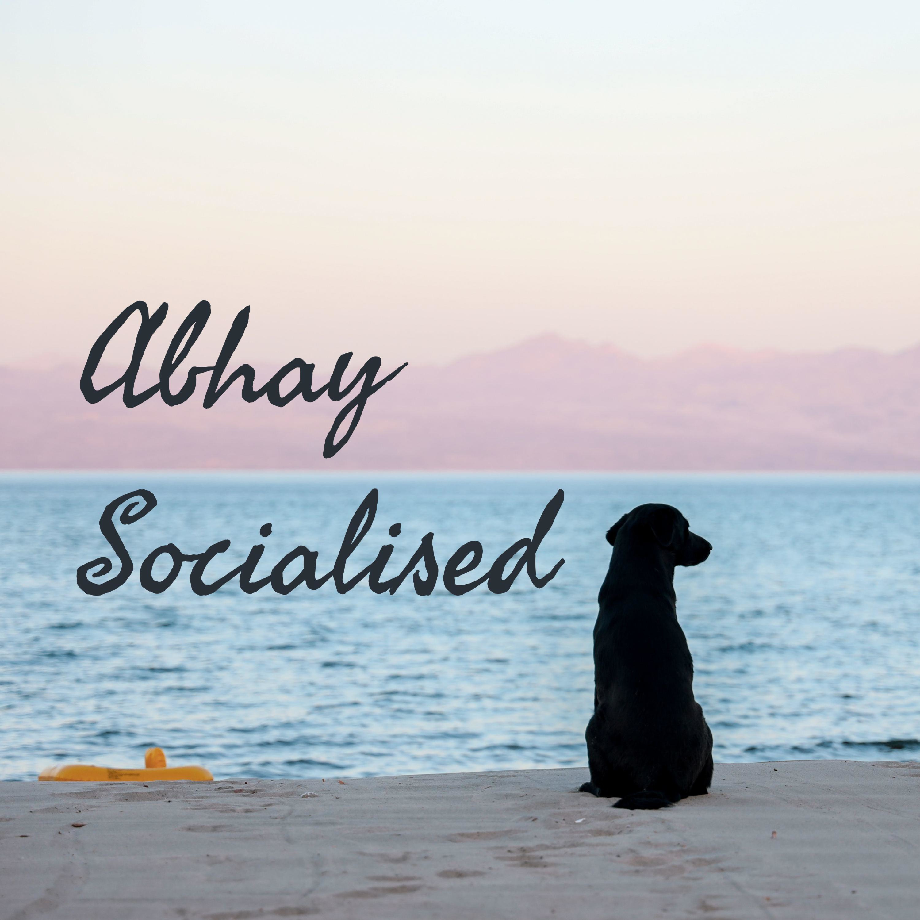 Abhay Socialised podcast artwork