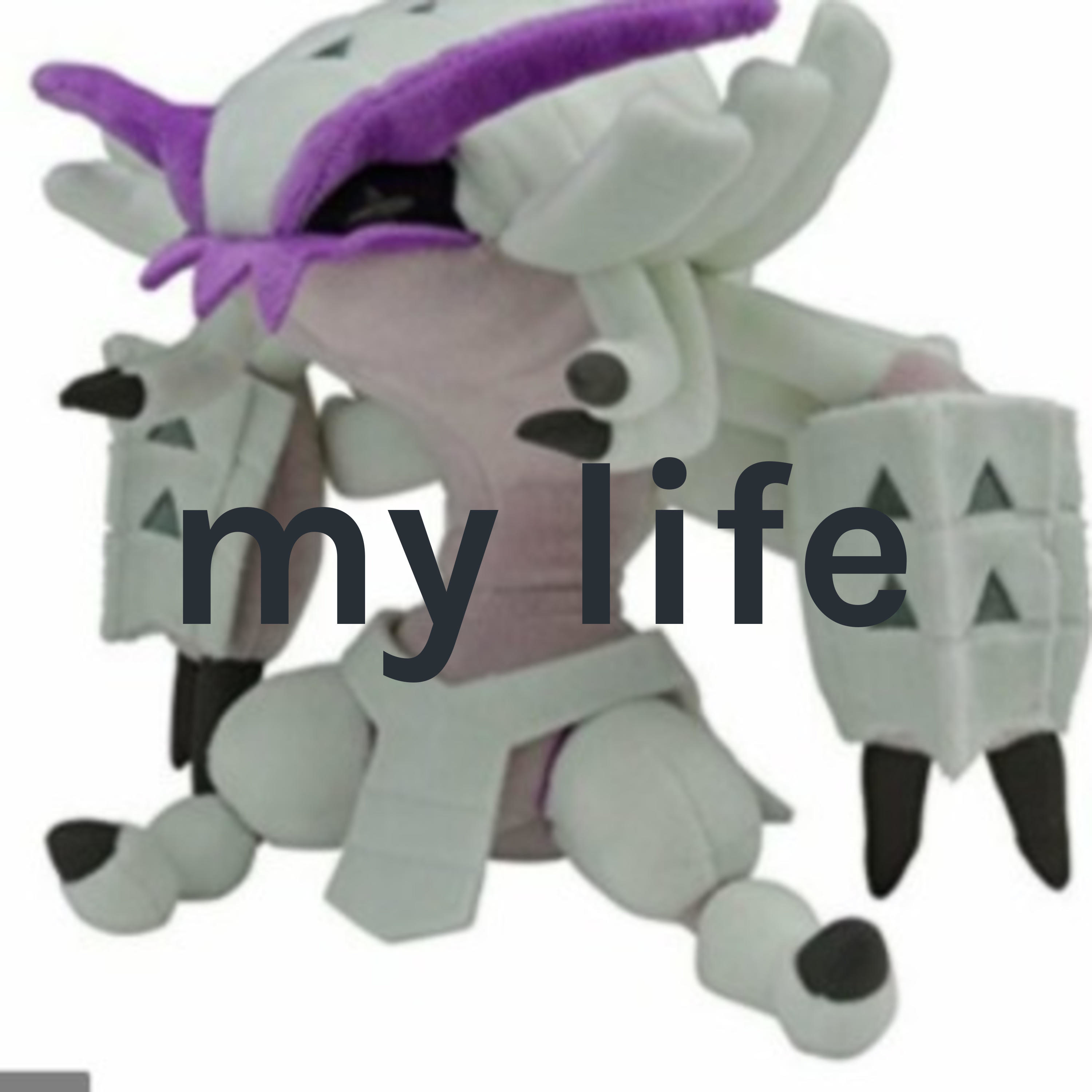 my life