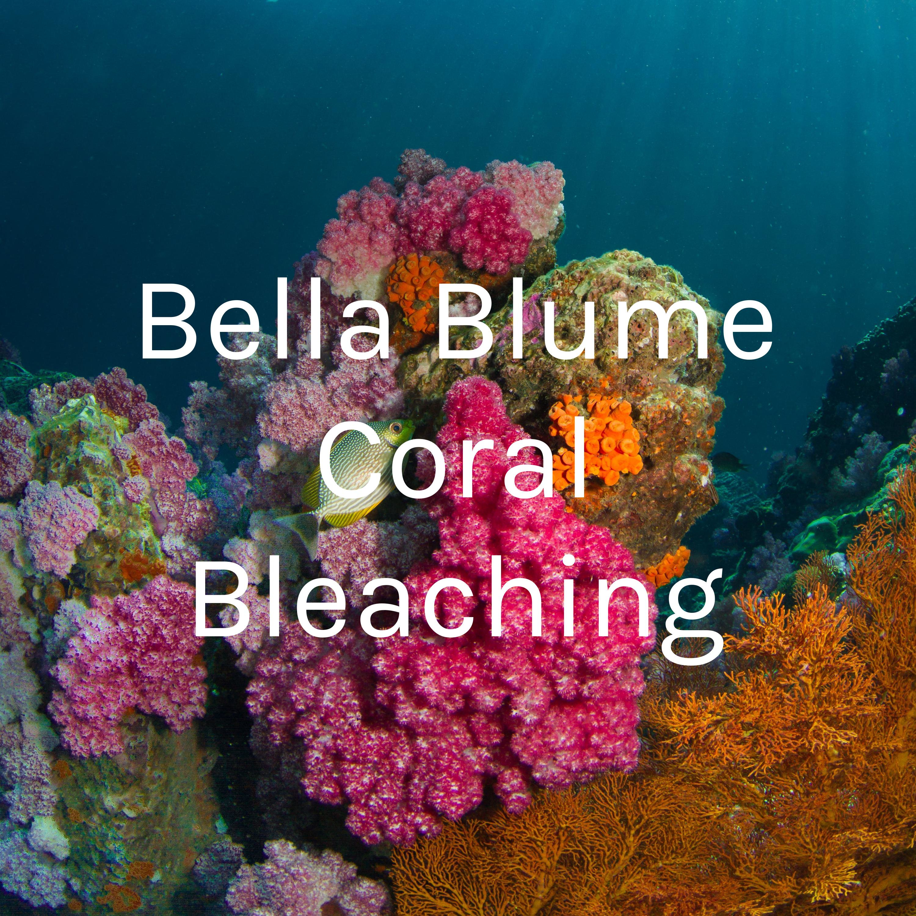 Bella Blume Coral Bleaching