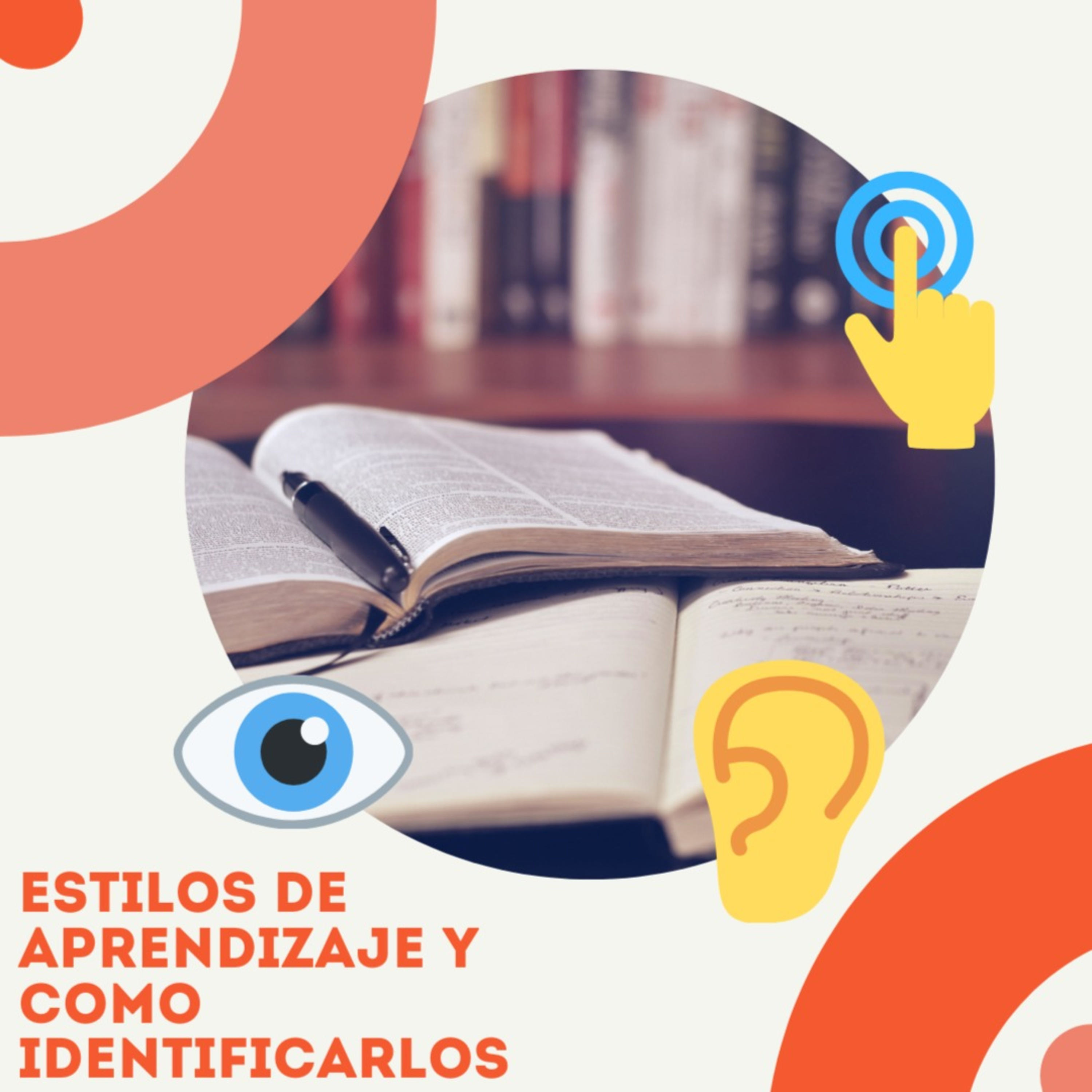Estilos de Aprendizaje