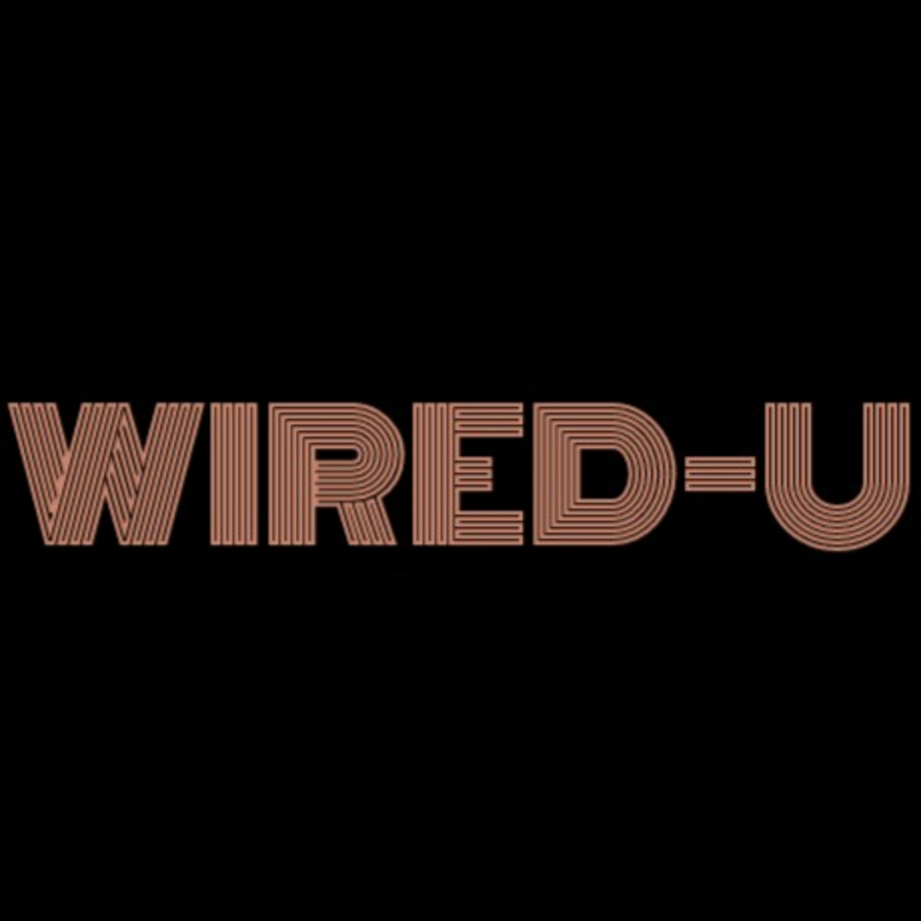 Wired-U | verbind talent, onderwijs en bedrijven rondom data & digital