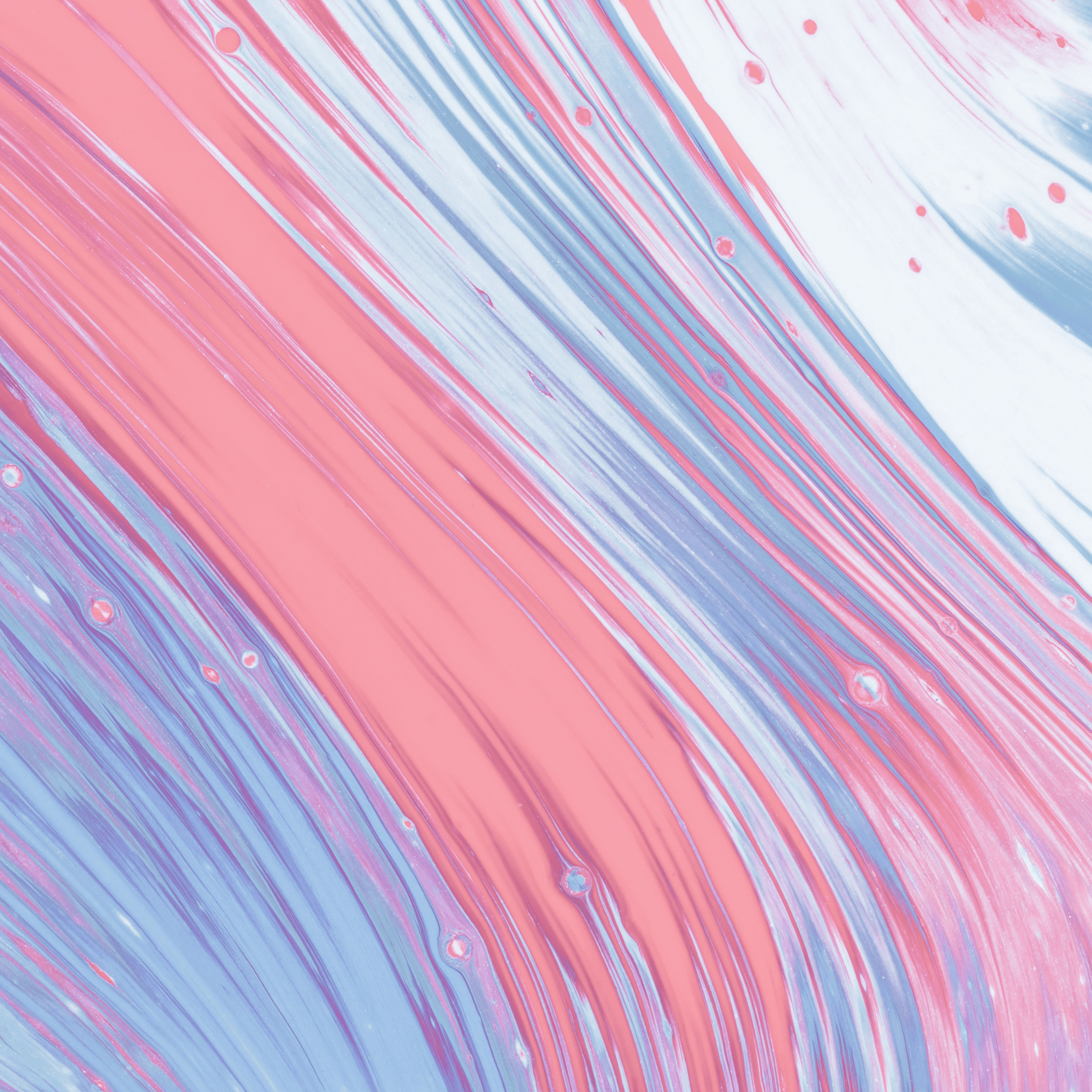 Saludos Para El Cuento cover art