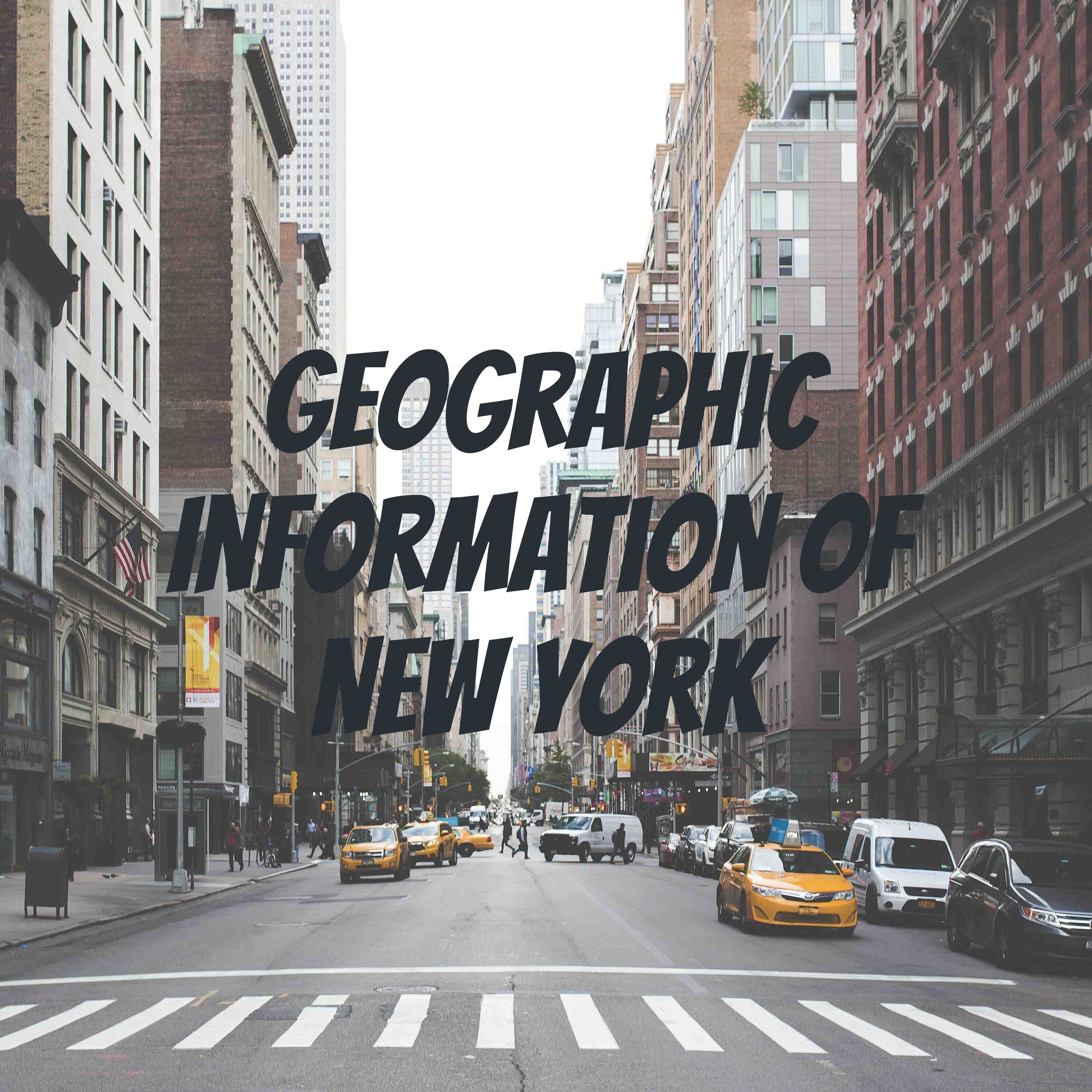 Geographic Information of New York 