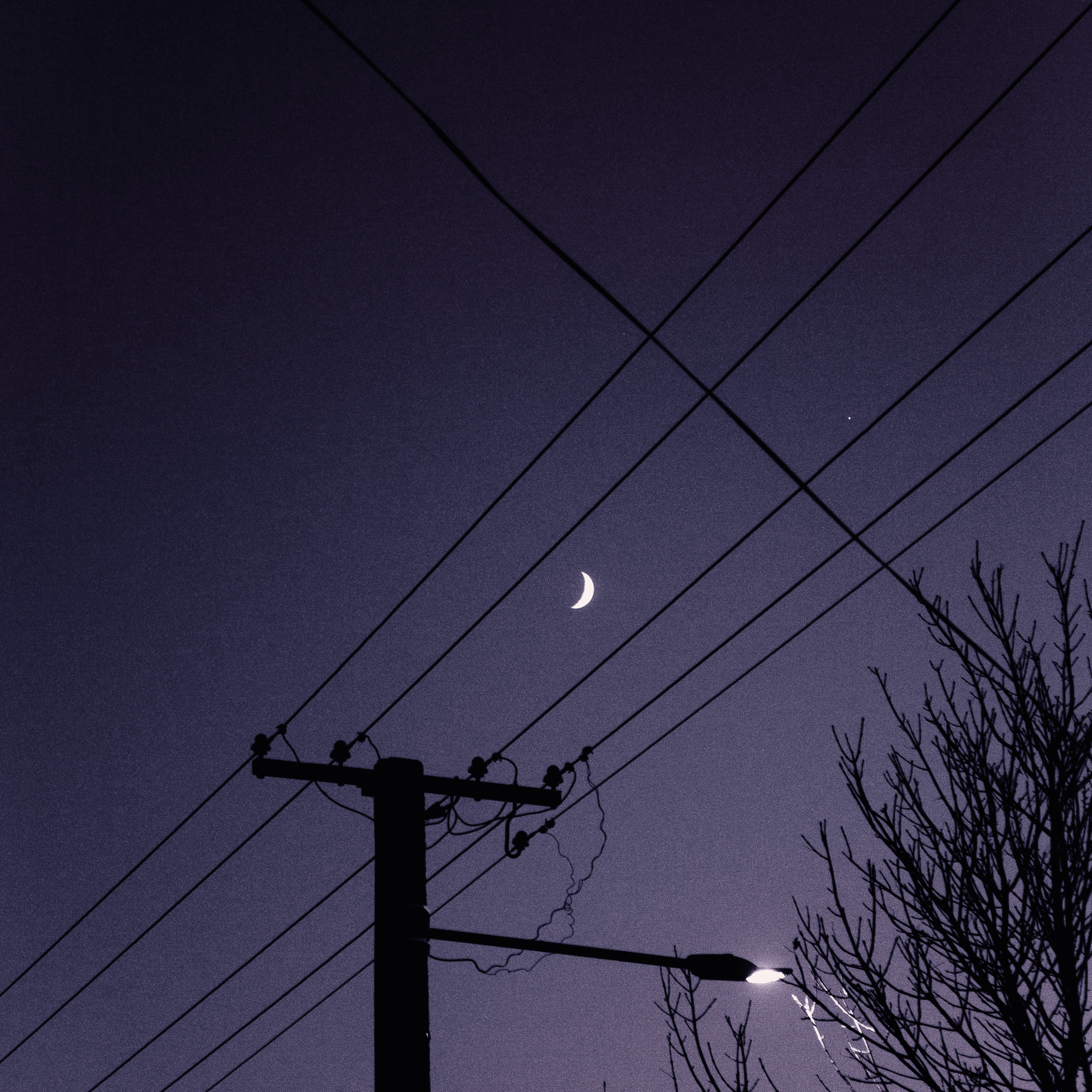 Alex Lashes: I want to live.