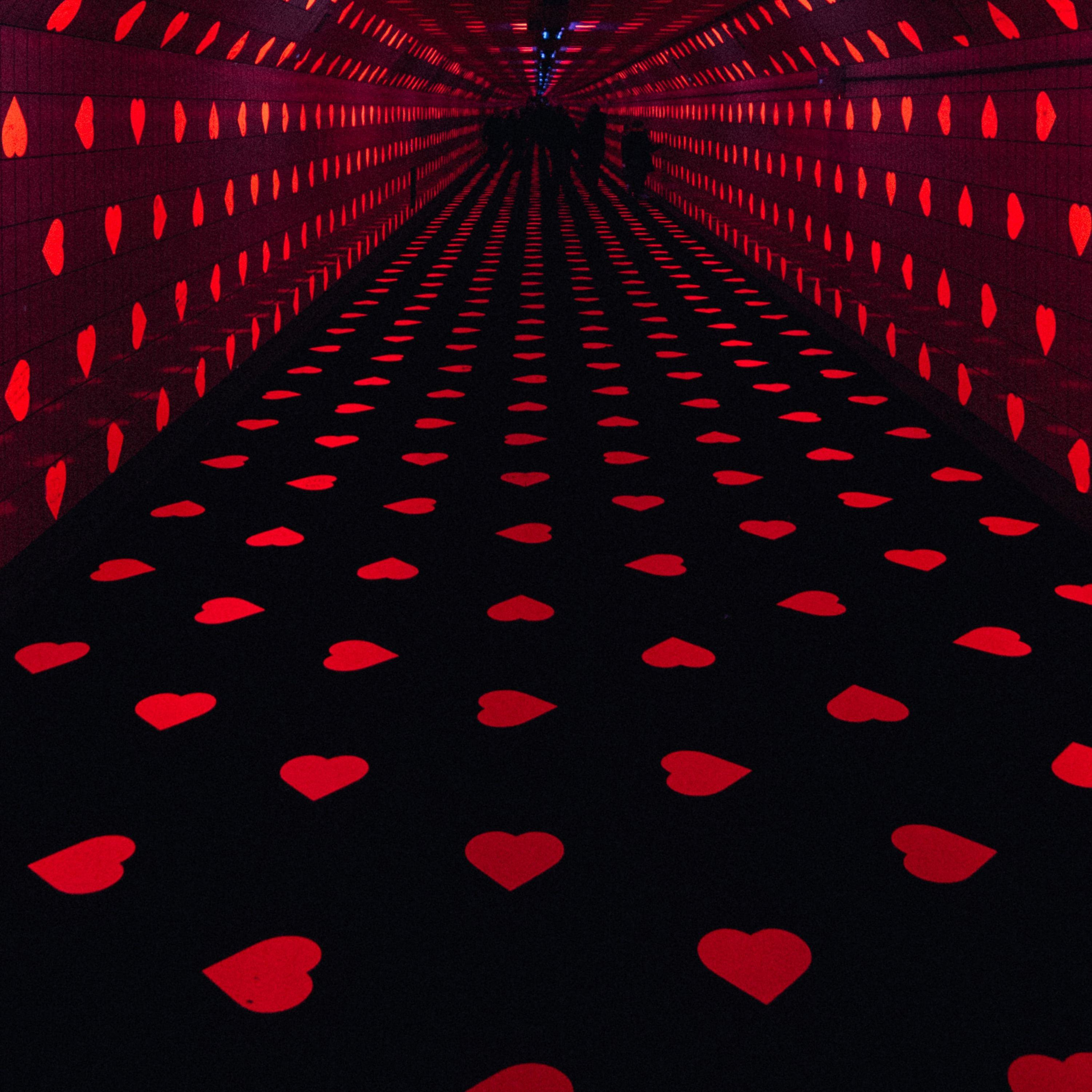 Heart Failure by Dr. Diego Delgado