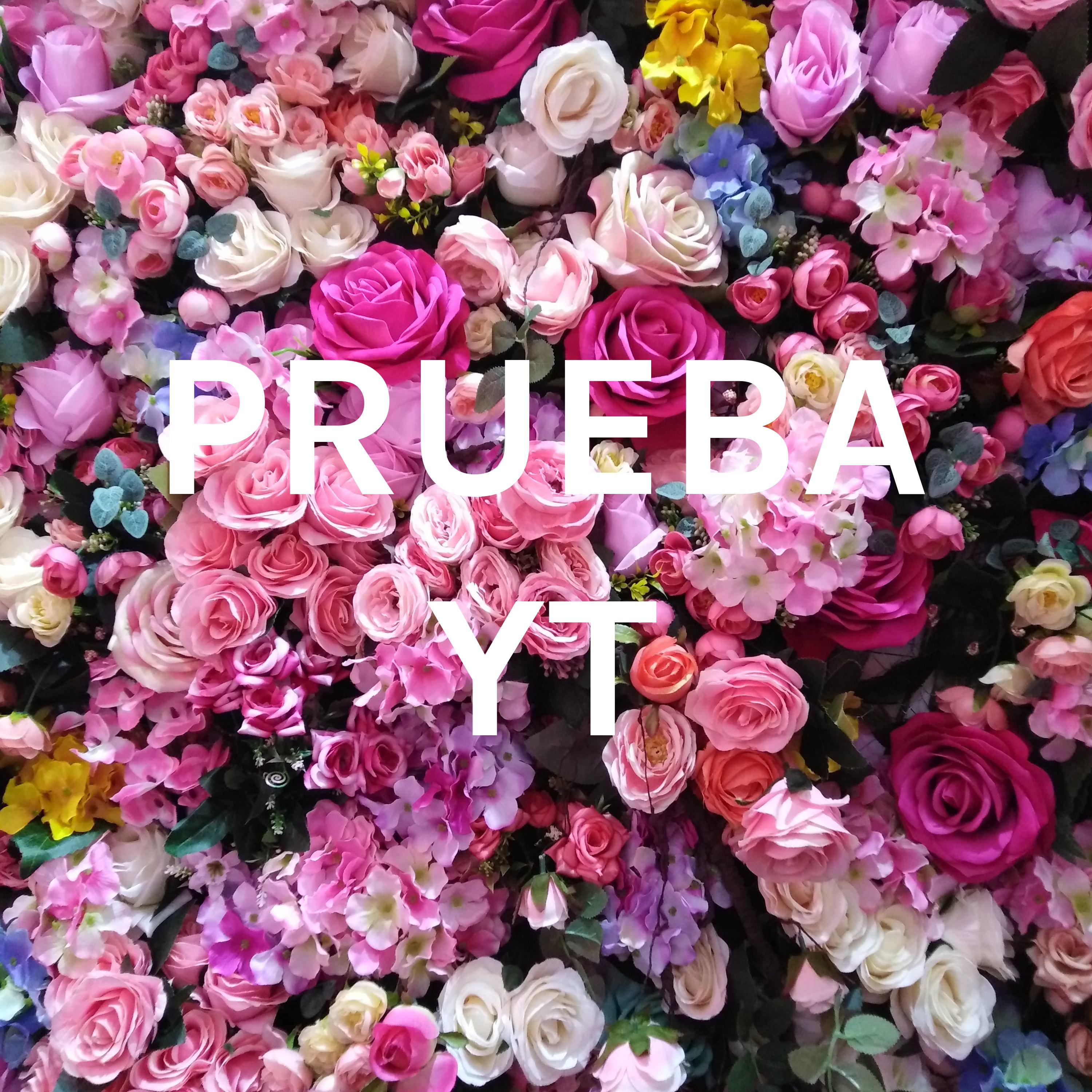 PRUEBA YT