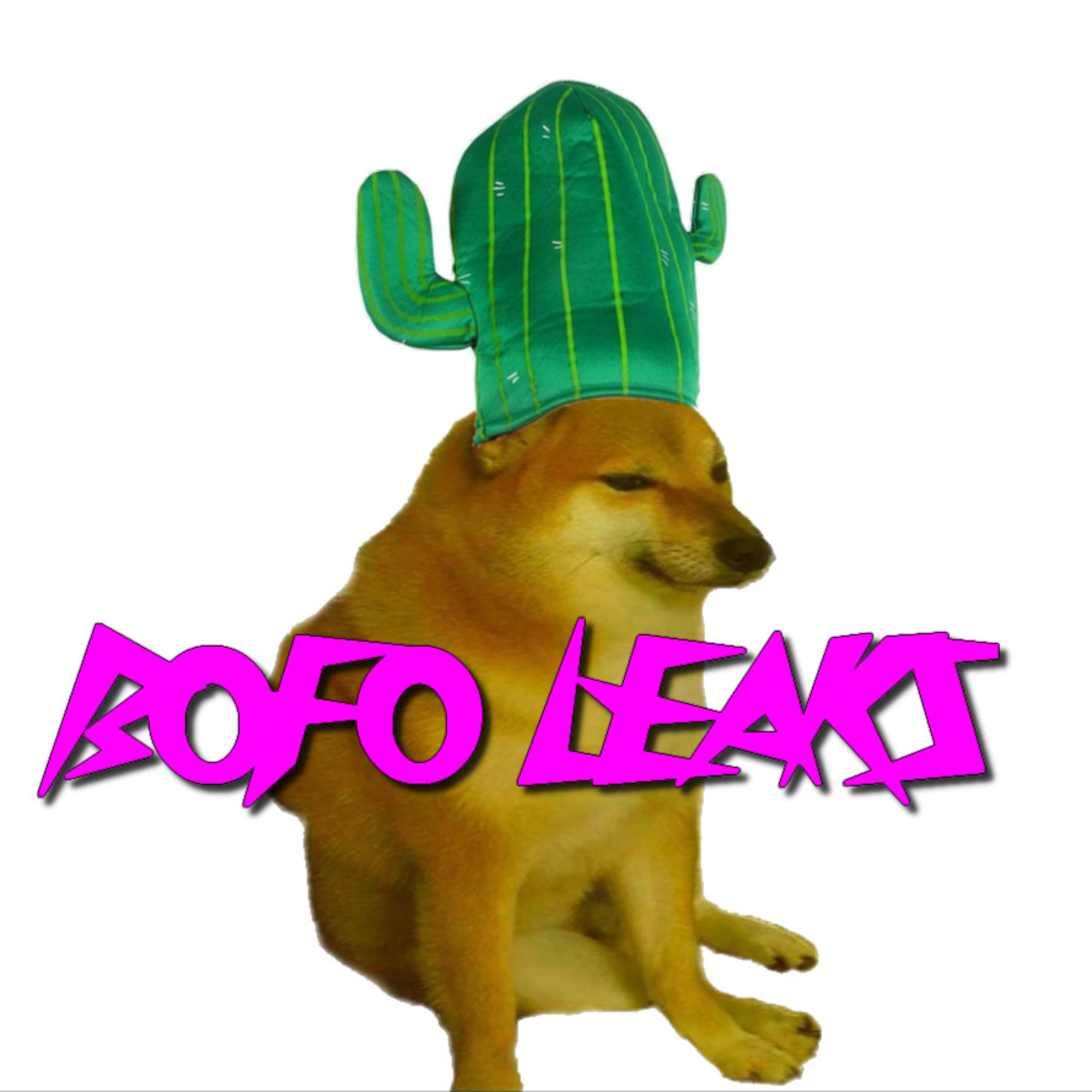 BofoLeaks podcast artwork