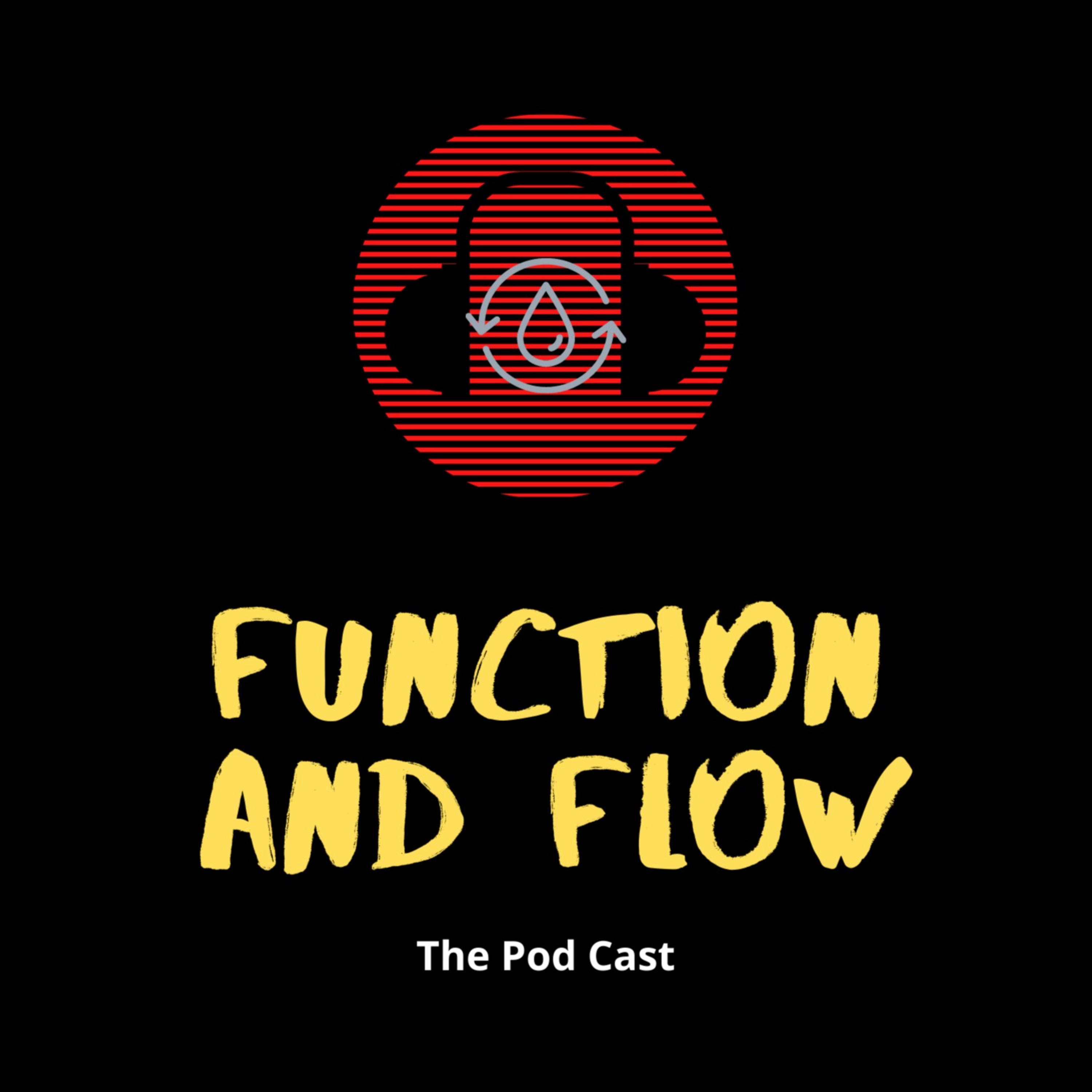 Function and Flow