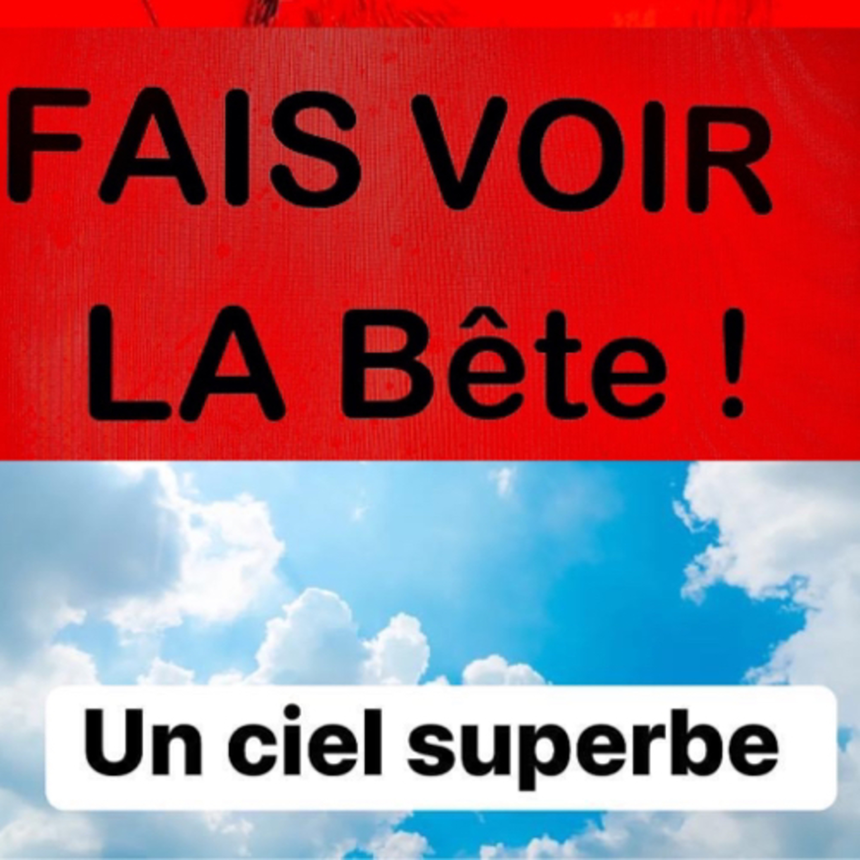 Fais Voir la Bête - Joseph Agostini et Penelope Pantalacci