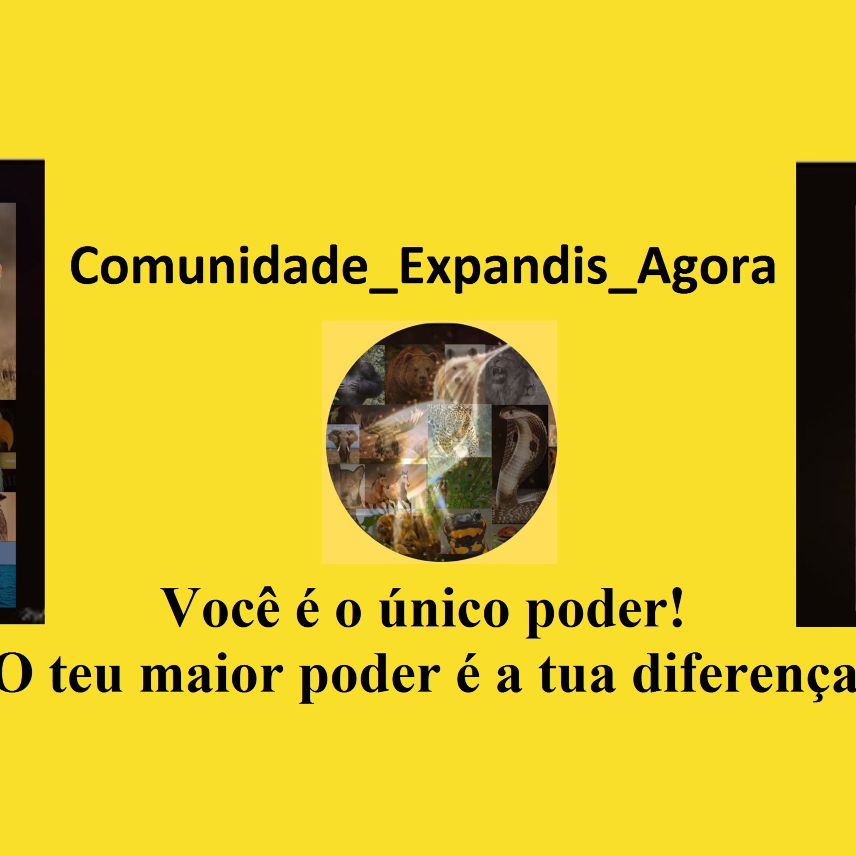 @Comunidade_Expandis_agora