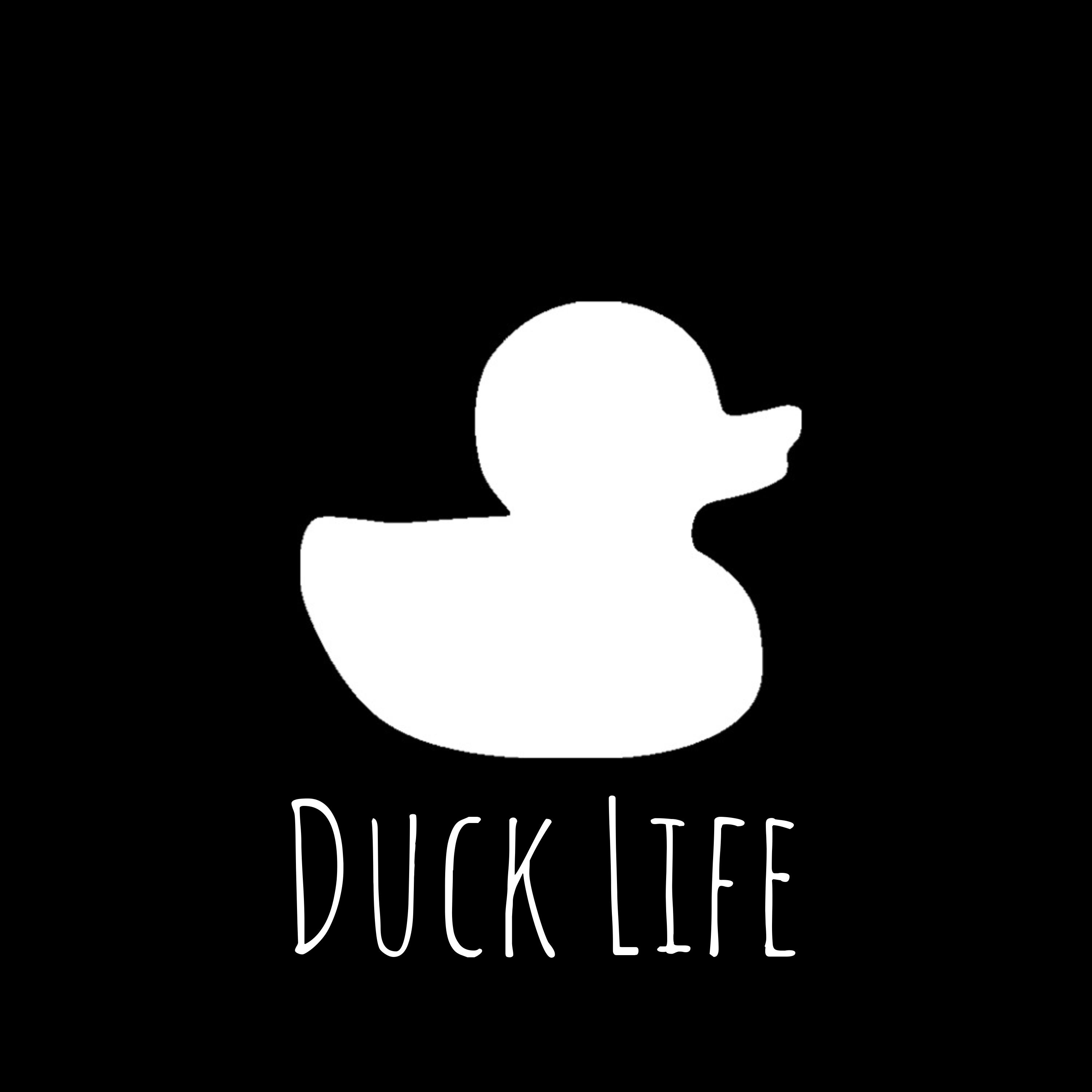 Duck Life