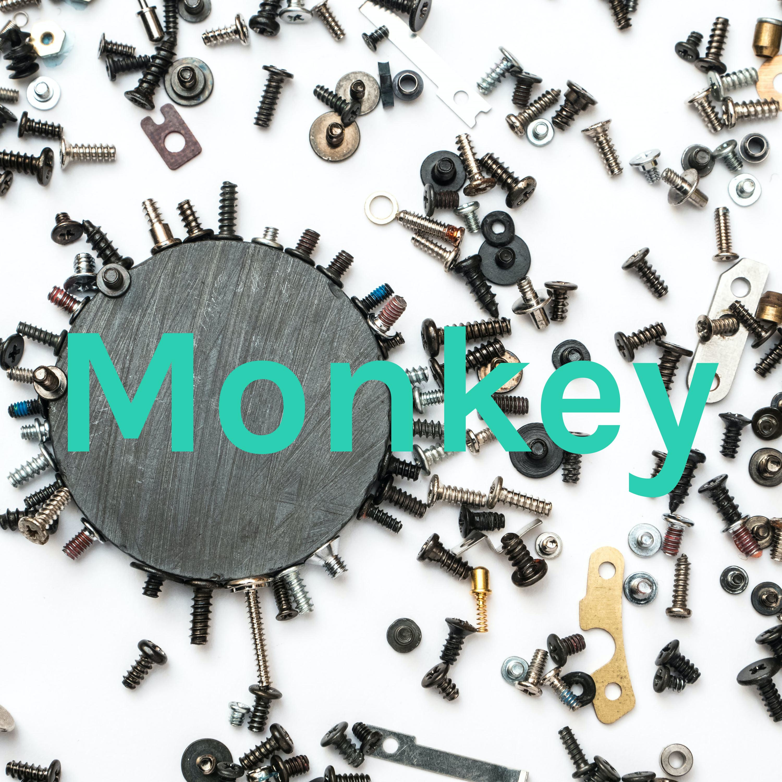 Monkey