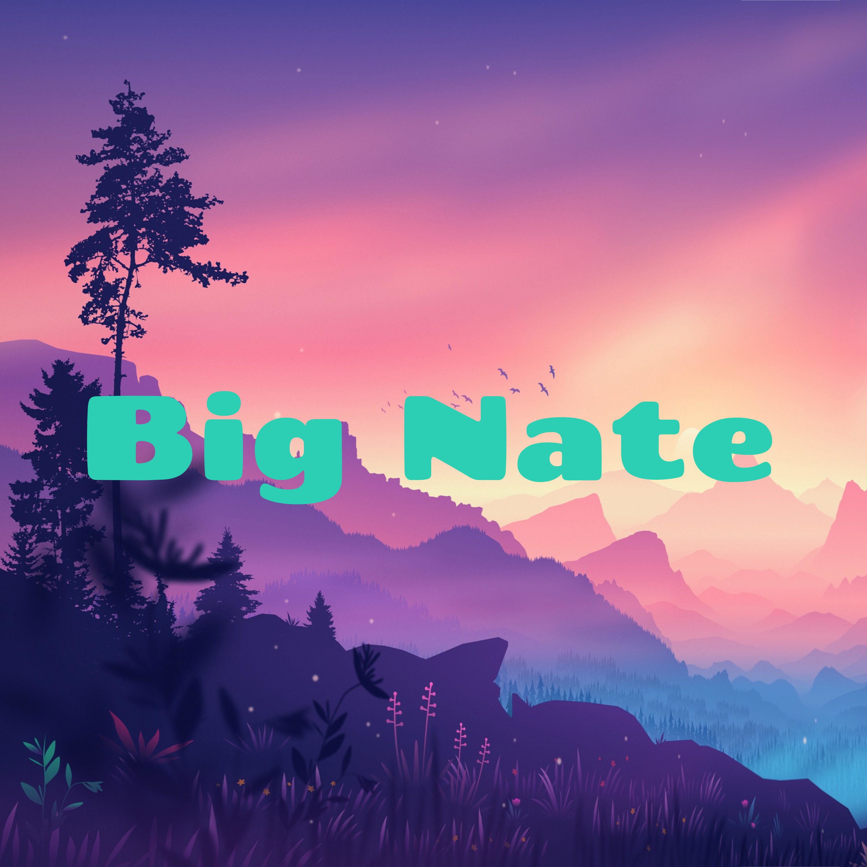 Big Nate - On the top