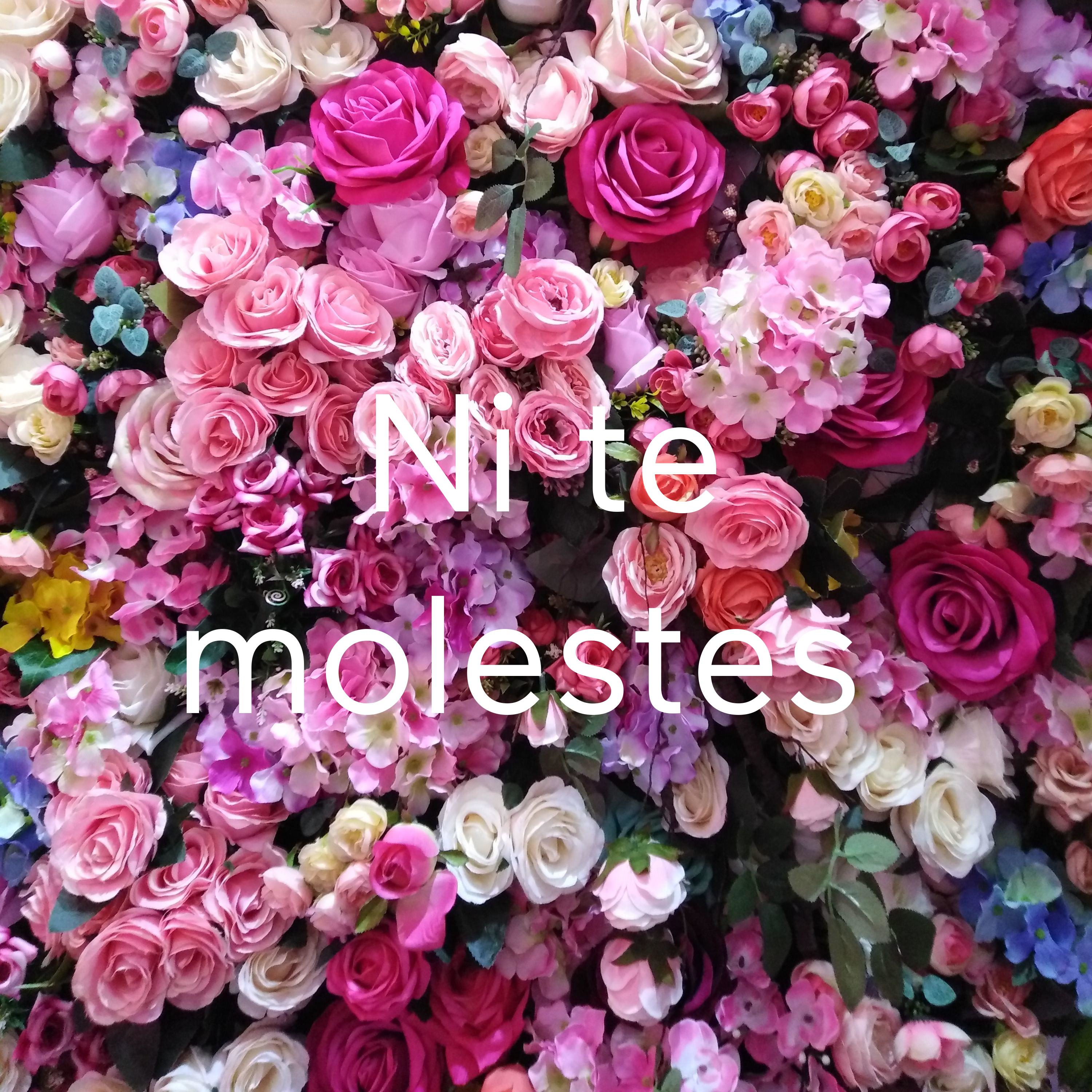 Ni te molestes 