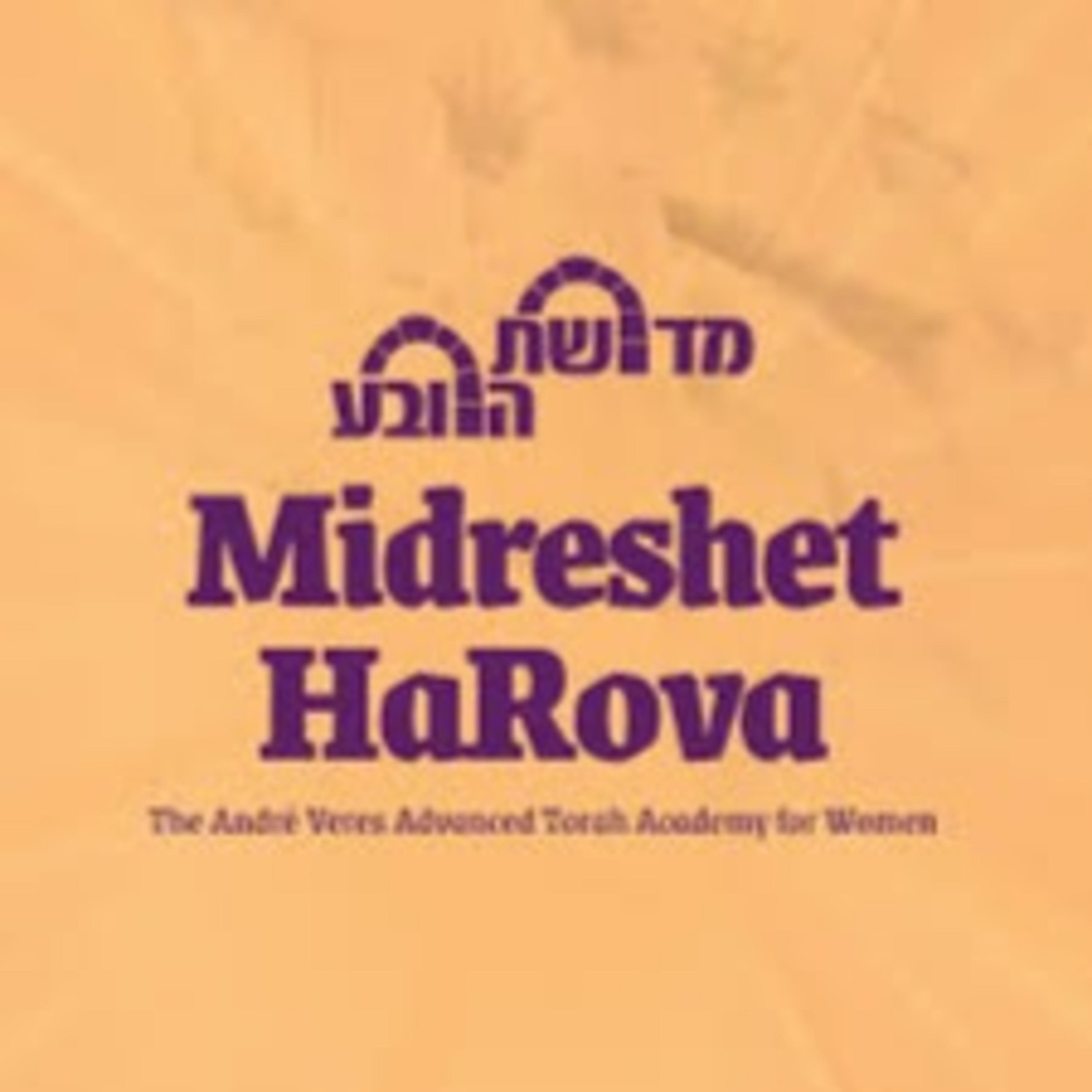 Rav Milston: Messilat Yesharim Sikkum 5782 Part #29 episode artwork