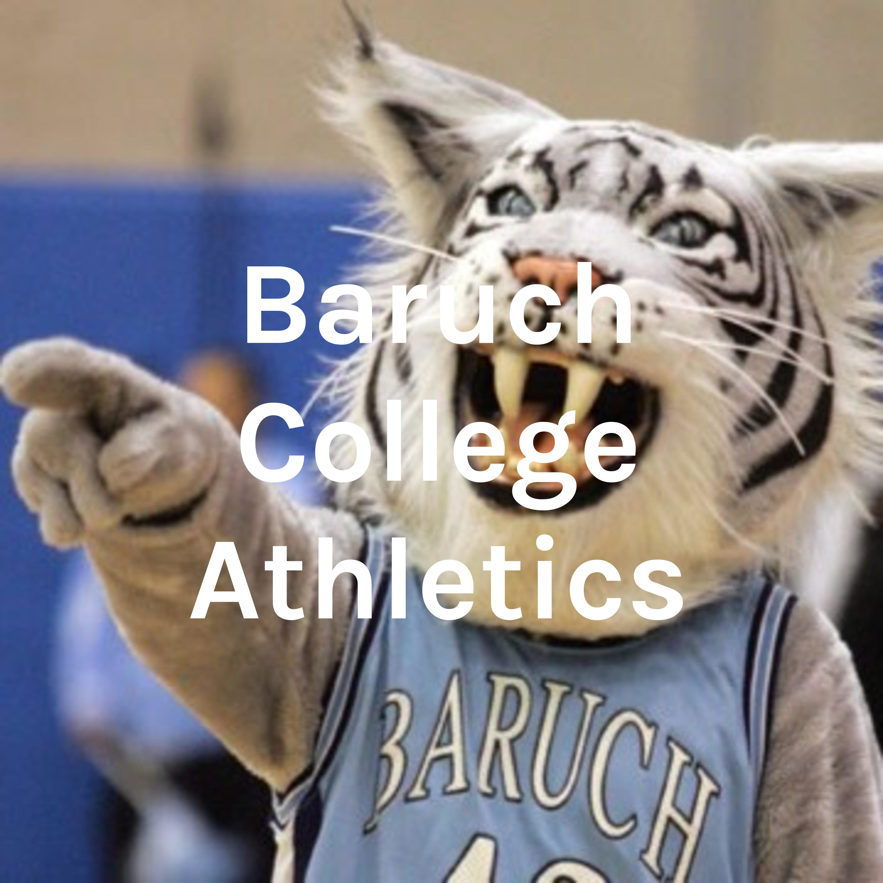 Baruch College Athletics