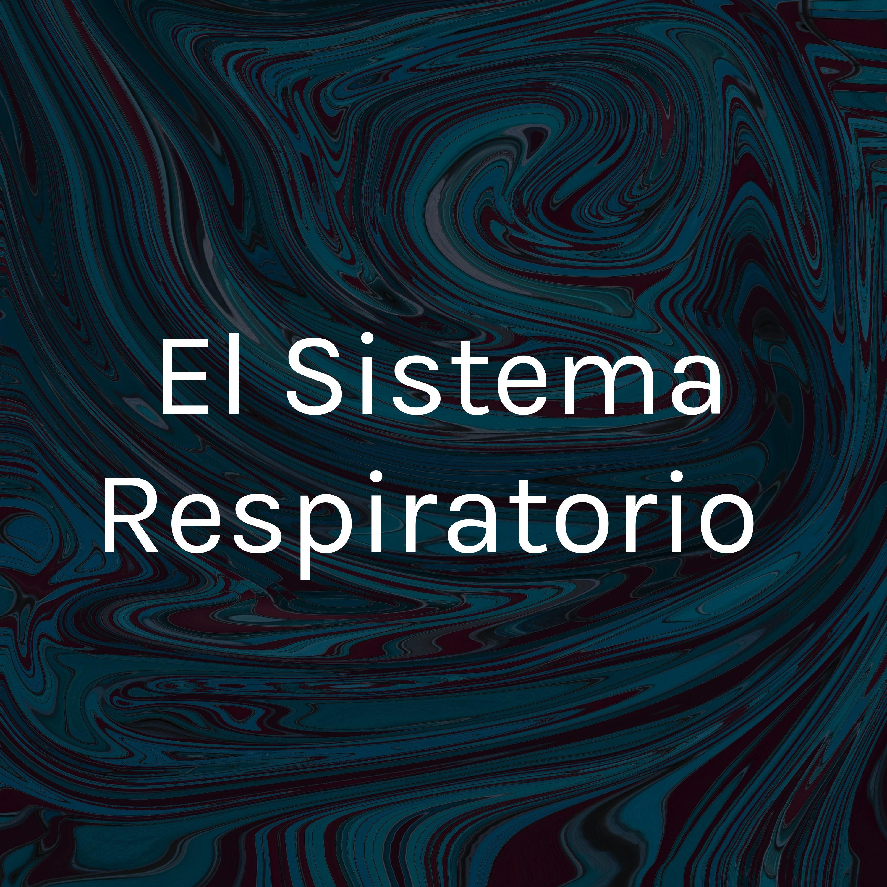 El Sistema Respiratorio 