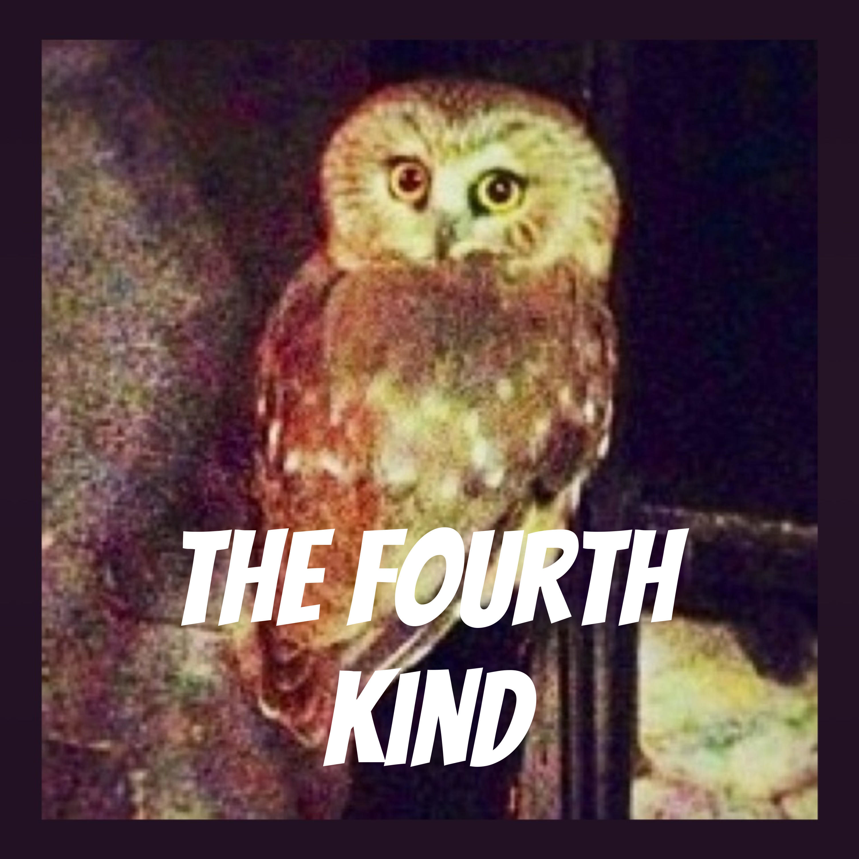 The Fourth Kind