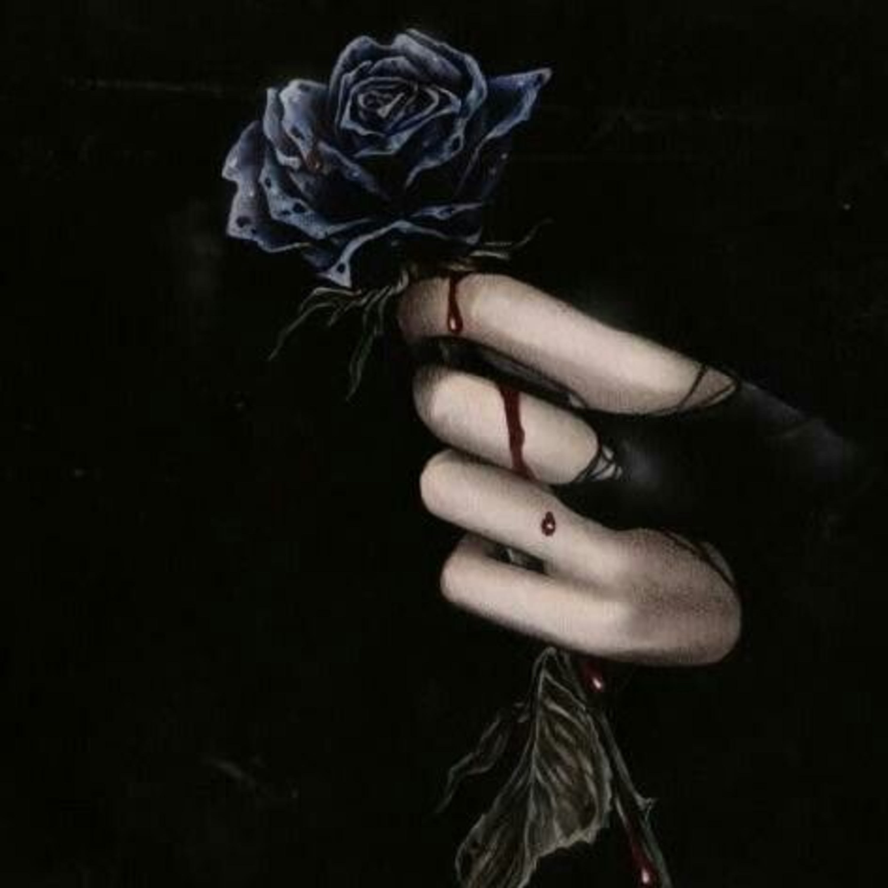 Un Mar de Letras y Sentimientos